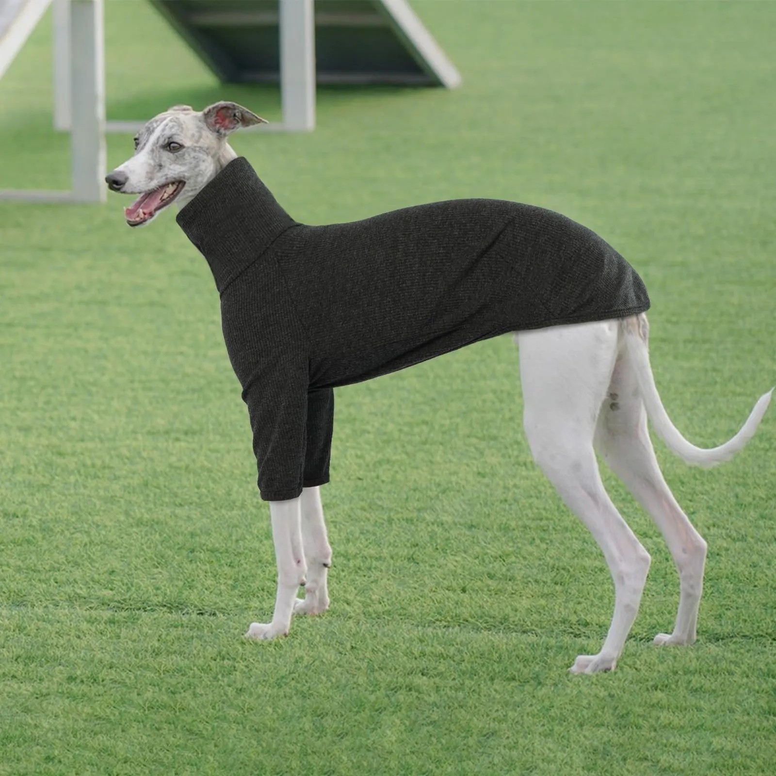 Cappotto Levieri, Maglione Greyhound Pigiama Levrieri Vestito per Levrieri XXL Cappotto Salukis Pullover Maglioncino Maglione Cane Taglia Grande(Grigio, 2XL) - immagine 5