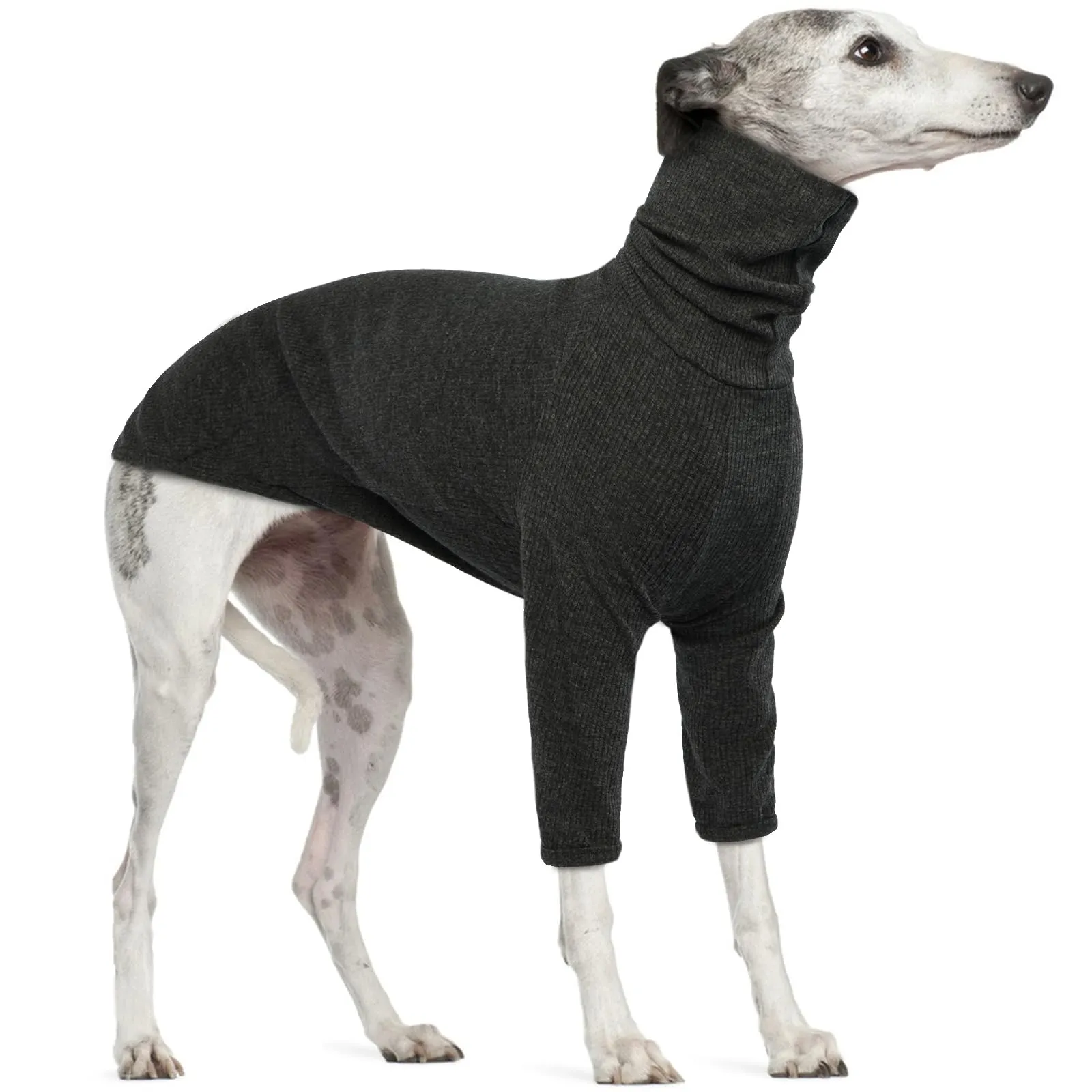 Felpe per cani levriero, maglione a collo alto per cani, grande, lavorato a maglia, per levrieri e vestiti Lurcher (grigio, XL) - immagine 1