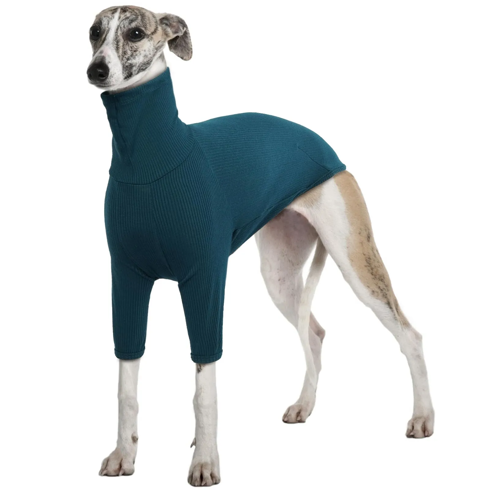 Greyhound Cappotto Levieri Pigiama Vestito per Levrieri XXL Cappotto Salukis Pullover Maglioncino Maglione Cane Taglia Grande (Blu, 2XL) - immagine 1