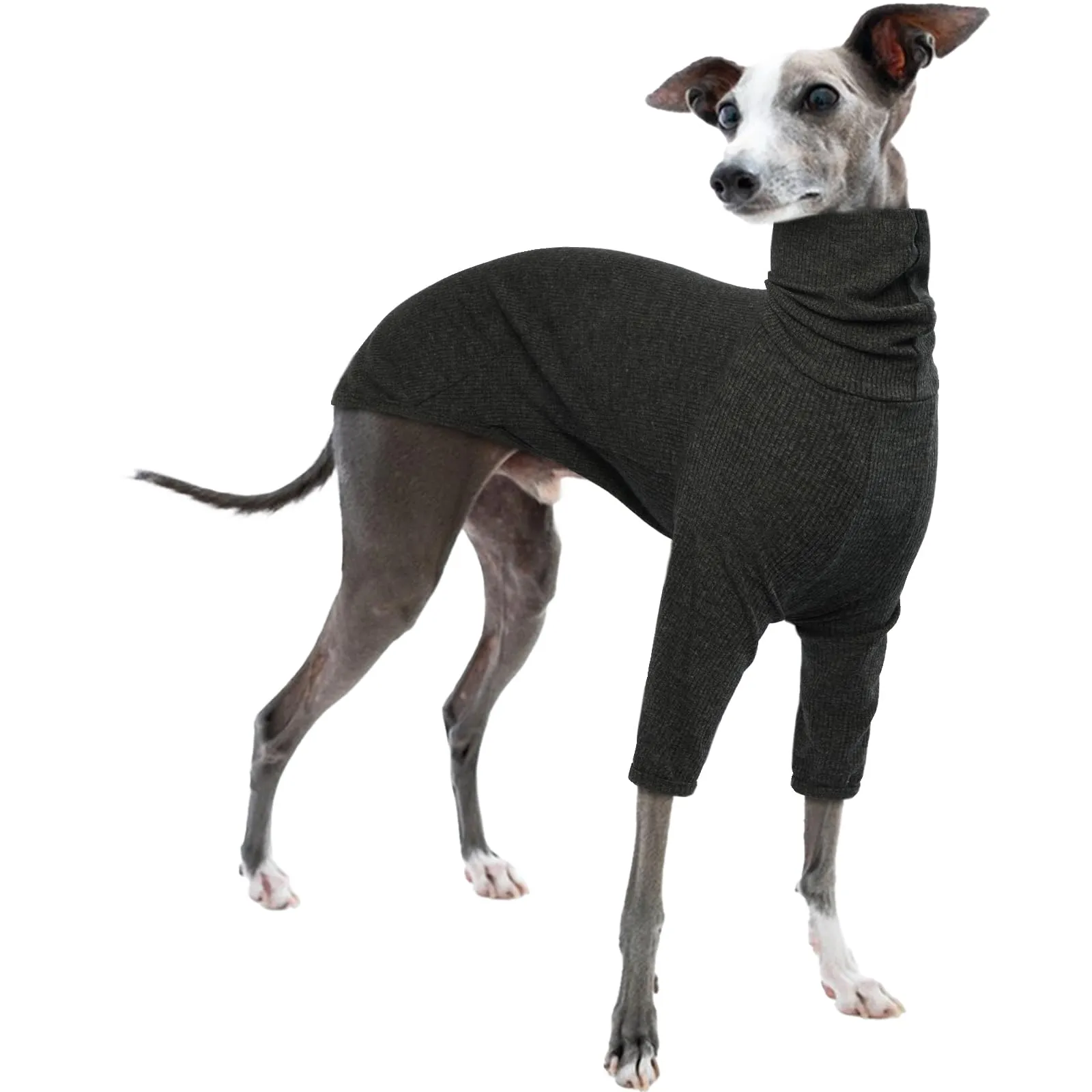 Maglione per Levriero, Giacca Levriero Pigiama Whippet Abbigliamento Levrieri Maglioncino Levriero(Grigio, M) - immagine 1