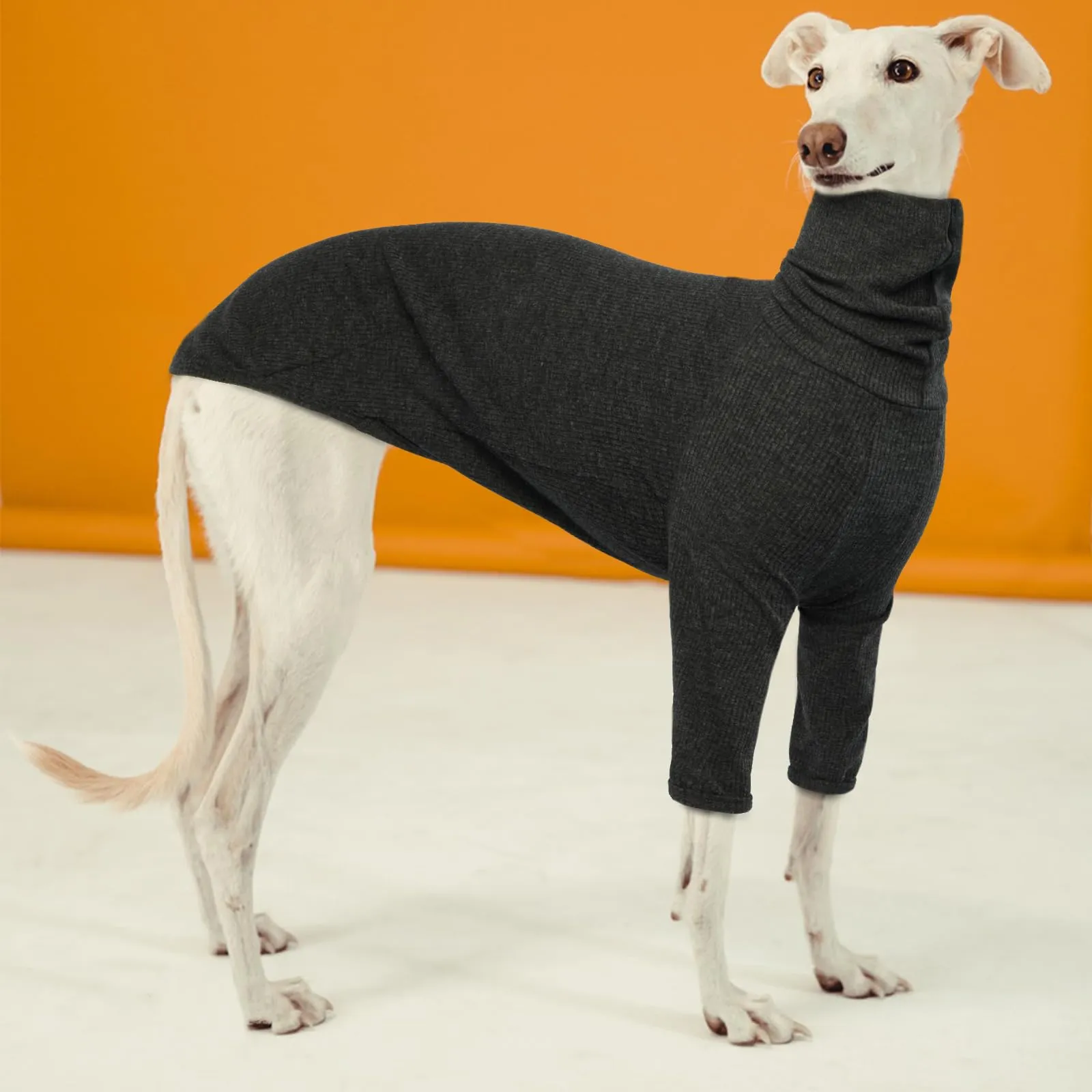 Maglione per Levriero, Giacca Levriero Pigiama Whippet Abbigliamento Levrieri Maglioncino Levriero(Grigio, M) - immagine 6