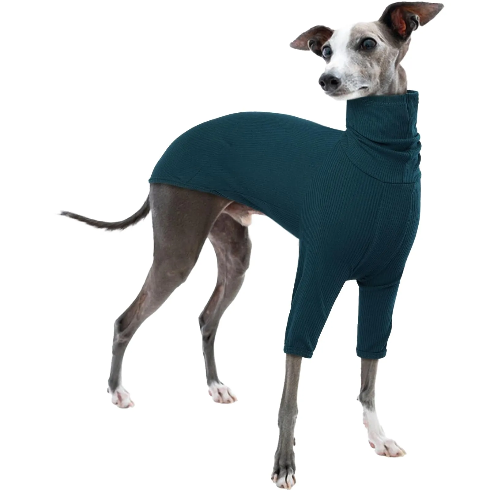 Cappottino Whippet, Felpa Whippet Pullover Invernale Abbigliamento Levriero Italiano Antivento Blu, XS - immagine 1