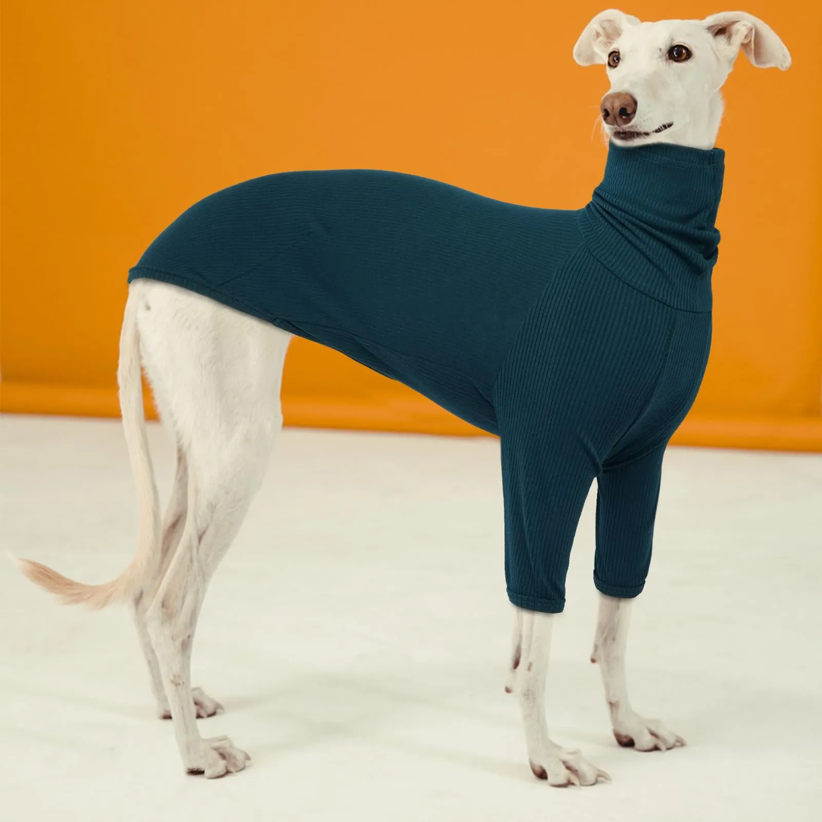 Cappottino Whippet, Felpa Whippet Pullover Invernale Abbigliamento Levriero Italiano Antivento Blu, XS - immagine 6