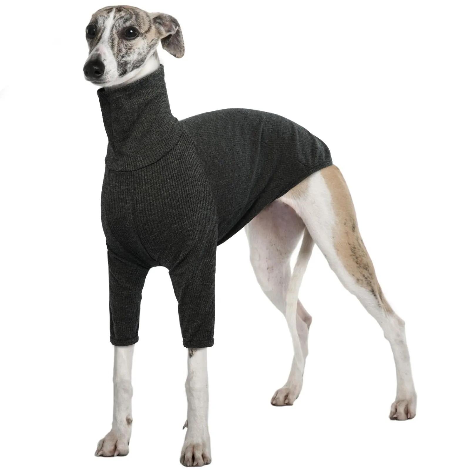 Cappotto Levieri, Maglione Greyhound Pigiama Levrieri Vestito per Levrieri Cappotto Salukis Pullover Maglioncino Maglione Cane Taglia Grande(Grigio, 3XL) - immagine 1