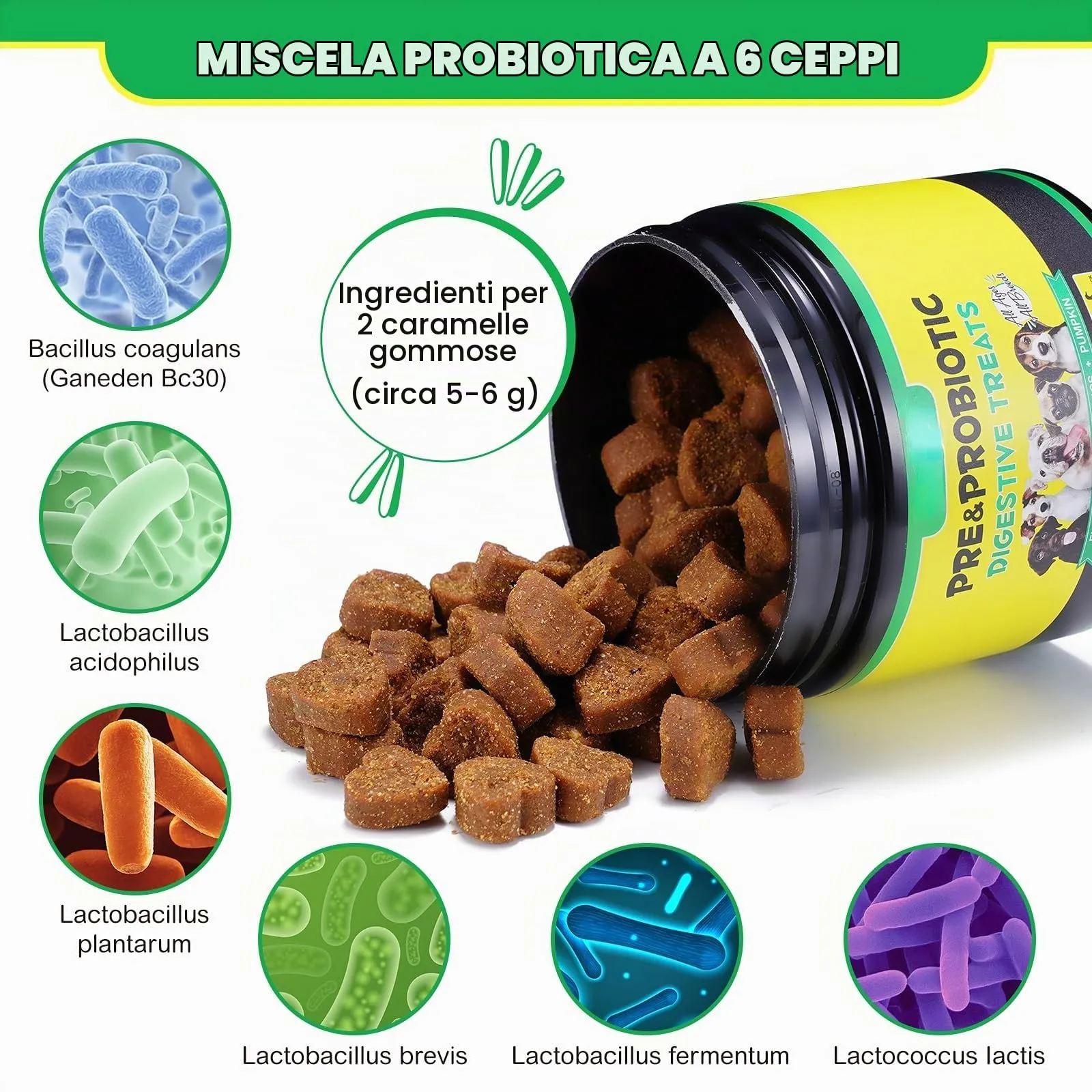 Compresse masticabili probiotiche per cani, probiotici cane salute intestinale, ricostruire la microflora intestinale cane, flora gastrica intestinale cani│allergie, equilibrio lievito│Sistema - immagine 2