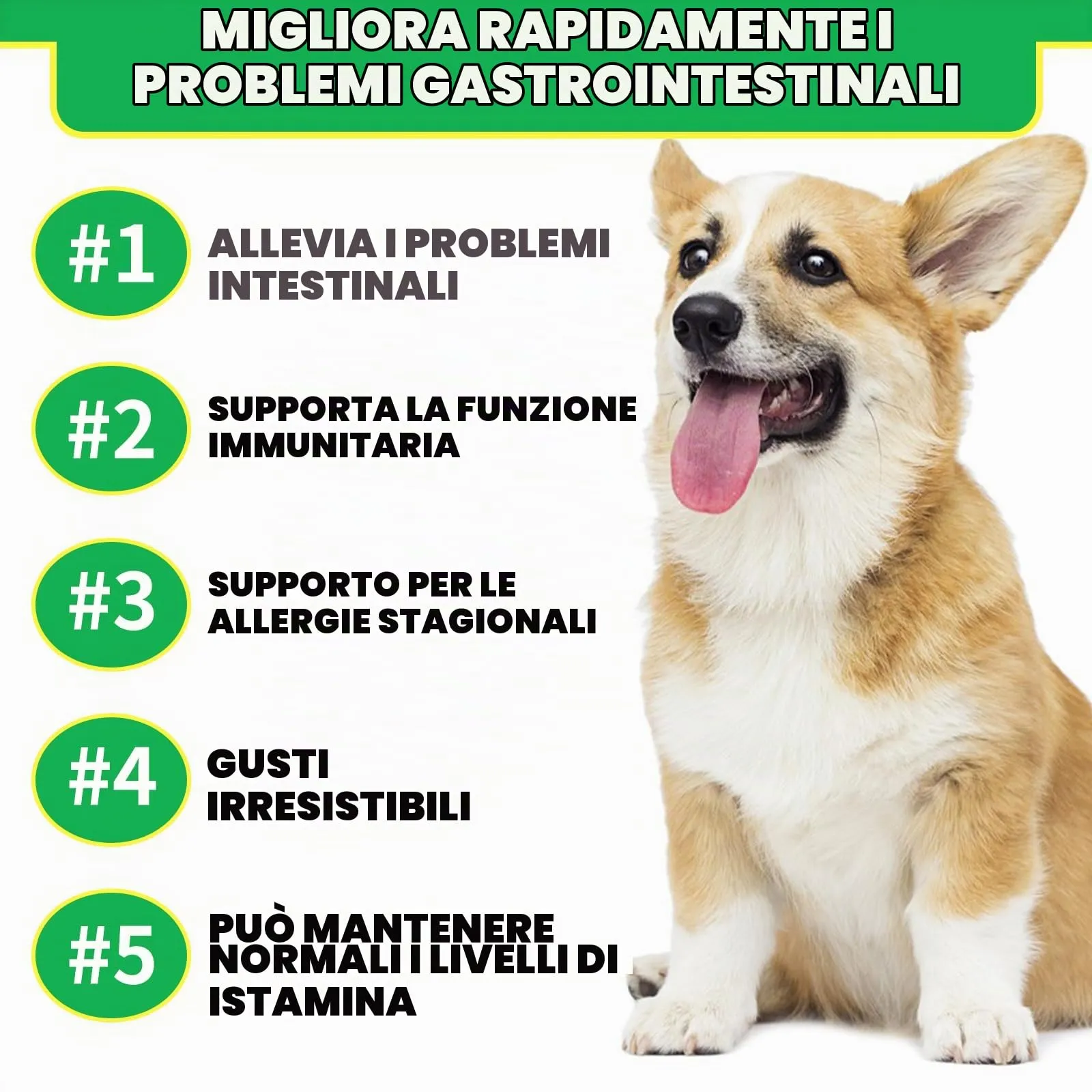 Compresse masticabili probiotiche per cani, probiotici cane salute intestinale, ricostruire la microflora intestinale cane, flora gastrica intestinale cani│allergie, equilibrio lievito│Sistema - immagine 3