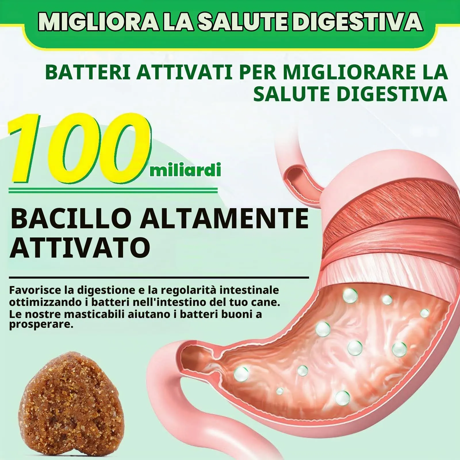 Compresse masticabili probiotiche per cani, probiotici cane salute intestinale, ricostruire la microflora intestinale cane, flora gastrica intestinale cani│allergie, equilibrio lievito│Sistema - immagine 4