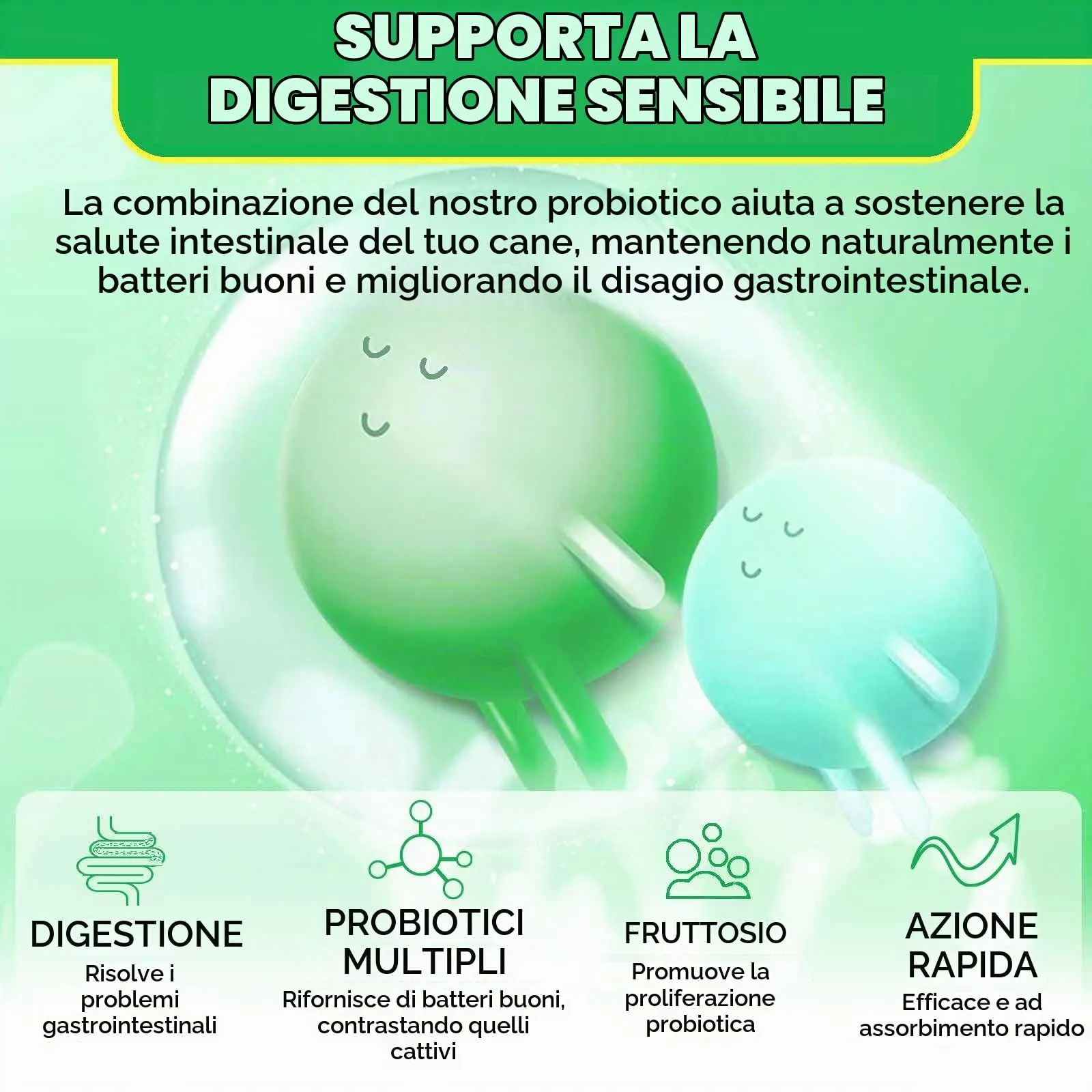 Compresse masticabili probiotiche per cani, probiotici cane salute intestinale, ricostruire la microflora intestinale cane, flora gastrica intestinale cani│allergie, equilibrio lievito│Sistema - immagine 5