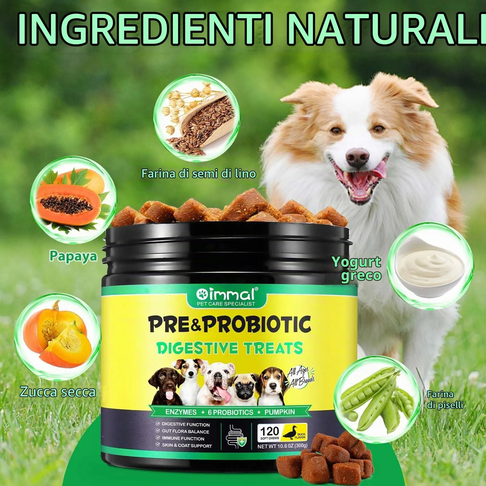 Compresse masticabili probiotiche per cani, probiotici cane salute intestinale, ricostruire la microflora intestinale cane, flora gastrica intestinale cani│allergie, equilibrio lievito│Sistema - immagine 6