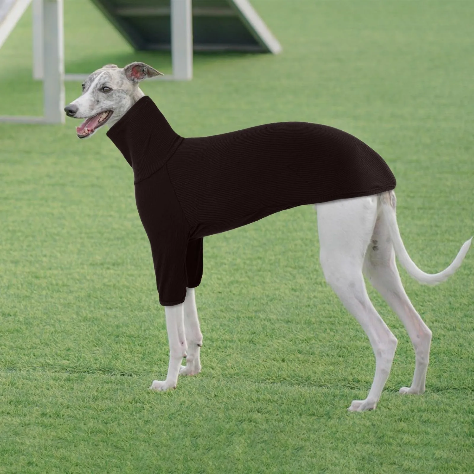 Cappotto Levieri, Maglione Greyhound Pigiama Vestito per Levrieri Salukis Pullover Maglioncino Cane Taglia Grande XXL (Marrone, 2XL) - immagine 5
