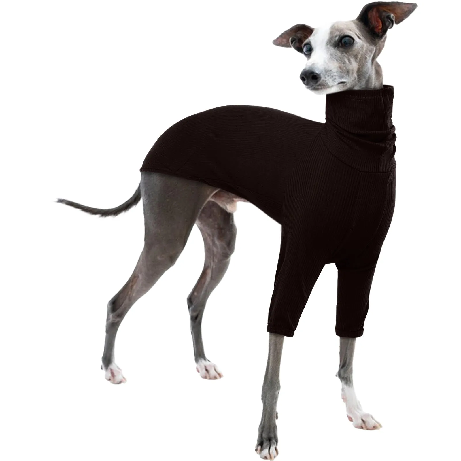 Maglione a collo alto whippet, cappotto levriero italiano, maglione per cuccioli di piccola taglia (marrone, S) - immagine 1