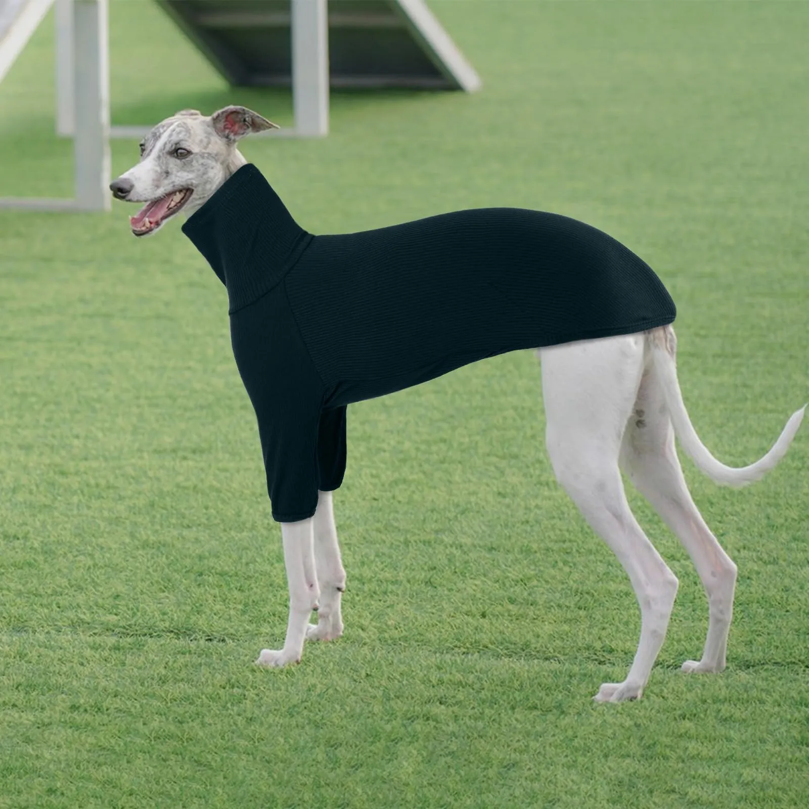 Cappottino Whippet, Felpa Whippet Pullover Invernale Abbigliamento Levriero Italiano Antivento, Tuta per Cani Piccoli (Verde Scuro, S) - immagine 5