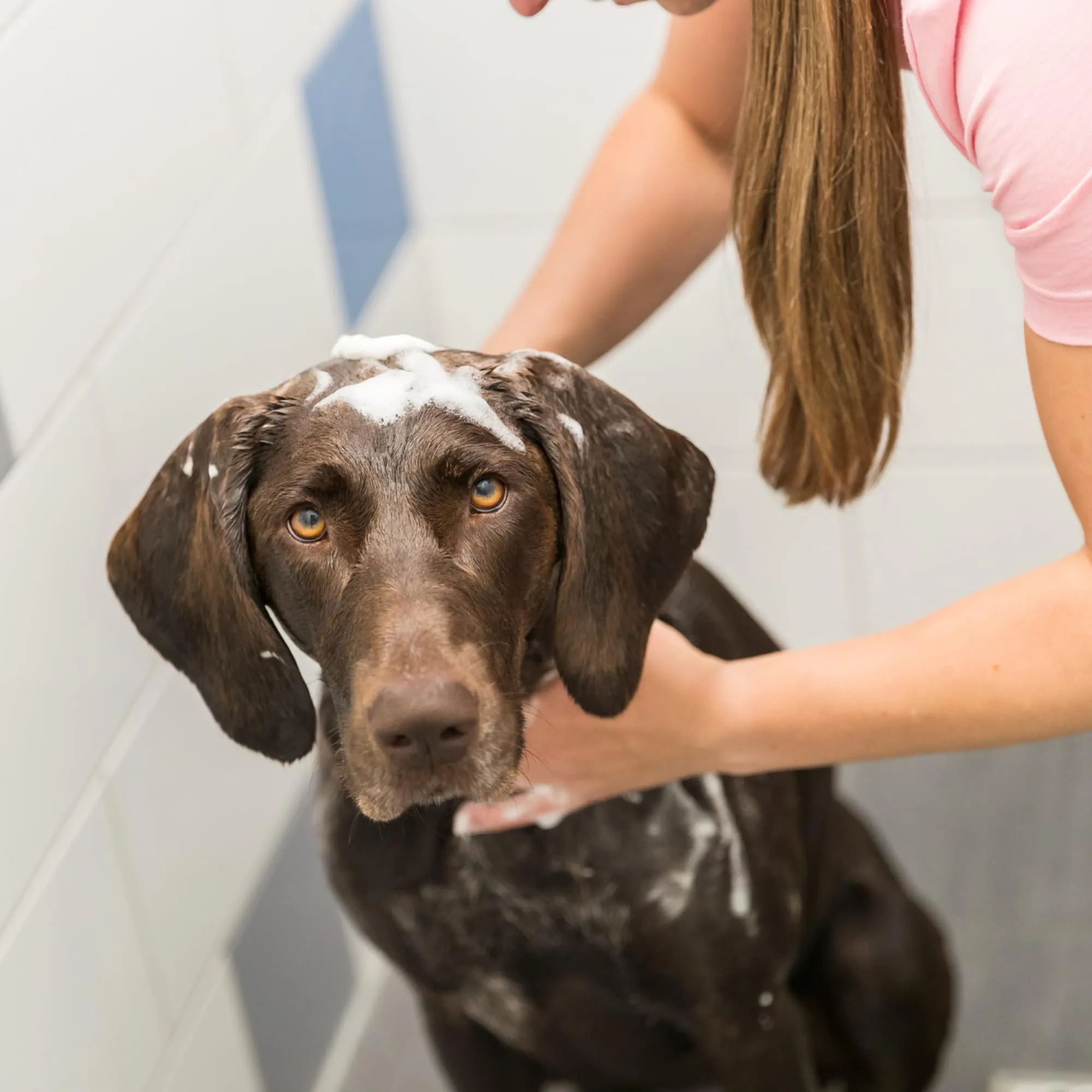 Trixie Puppy Shampoo 250 ml - immagine 2