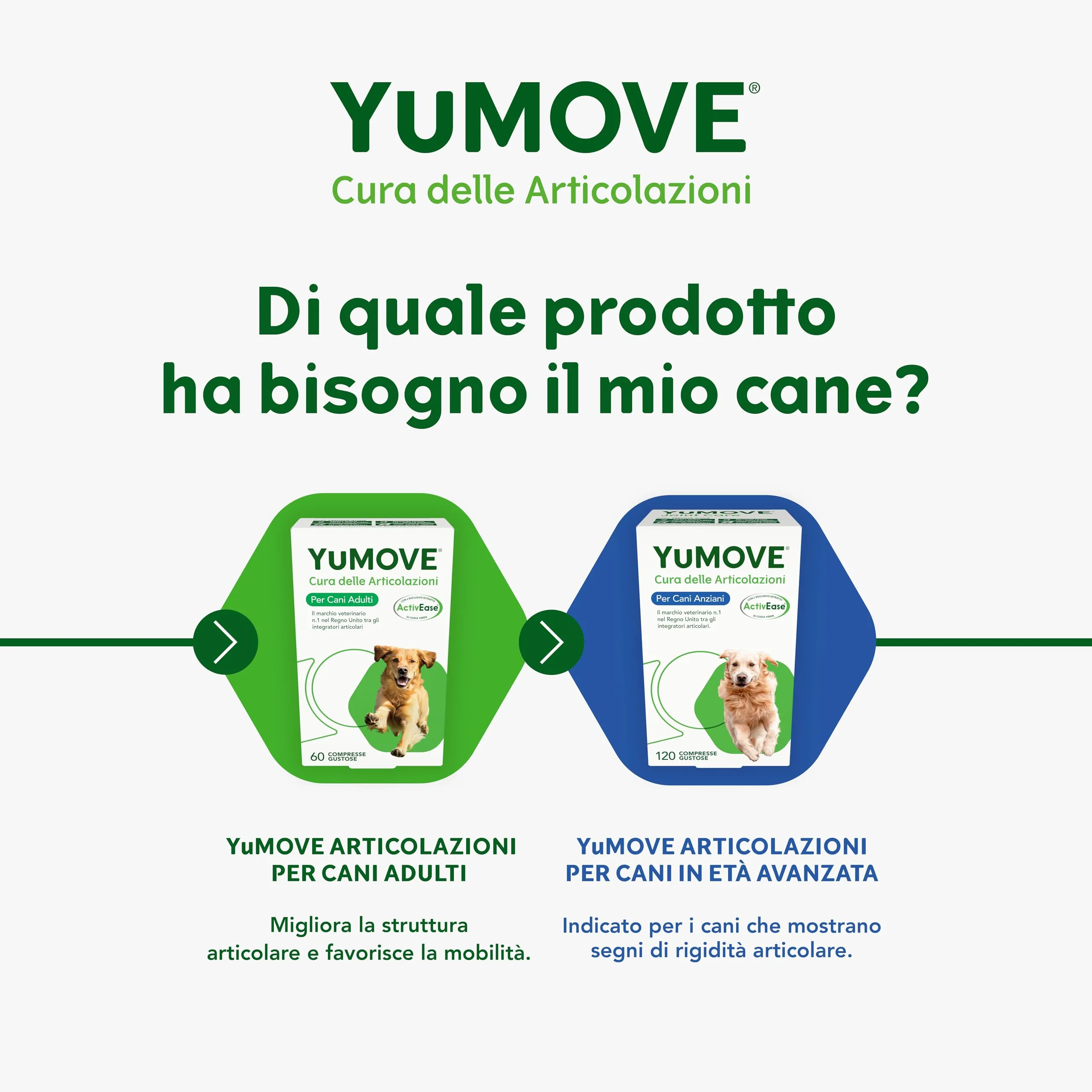 Yumove Integratore Articolazioni Cane 2-7 Anni – 60 Compresse ActivEase - immagine 6