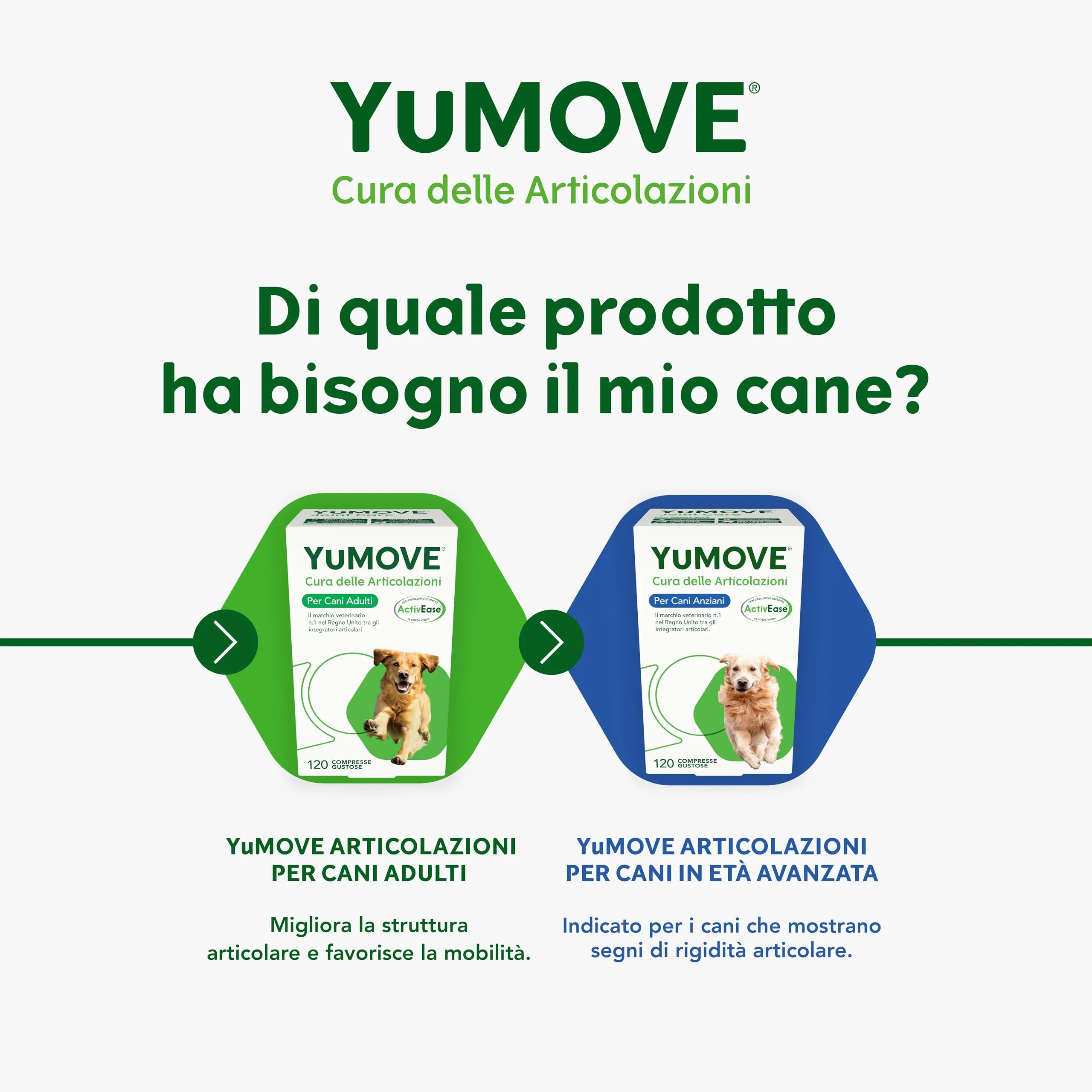Yumove Integratore Articolazioni Cane 2-7 Anni – 120 Compresse ActivEase - immagine 6