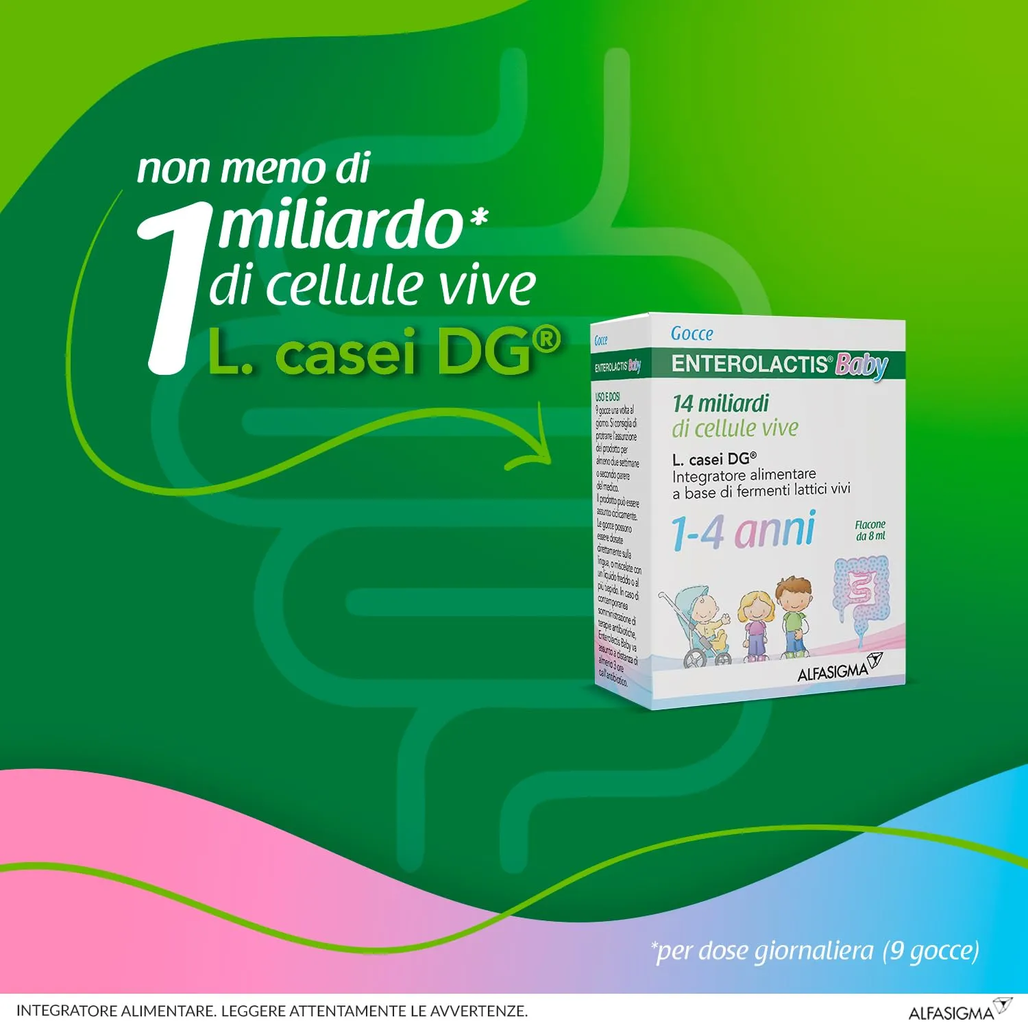 Enterolactis Baby Gocce flacone da 8ml: equilibrio intestinale per neonati e bambini da 1a 4 anni - immagine 3