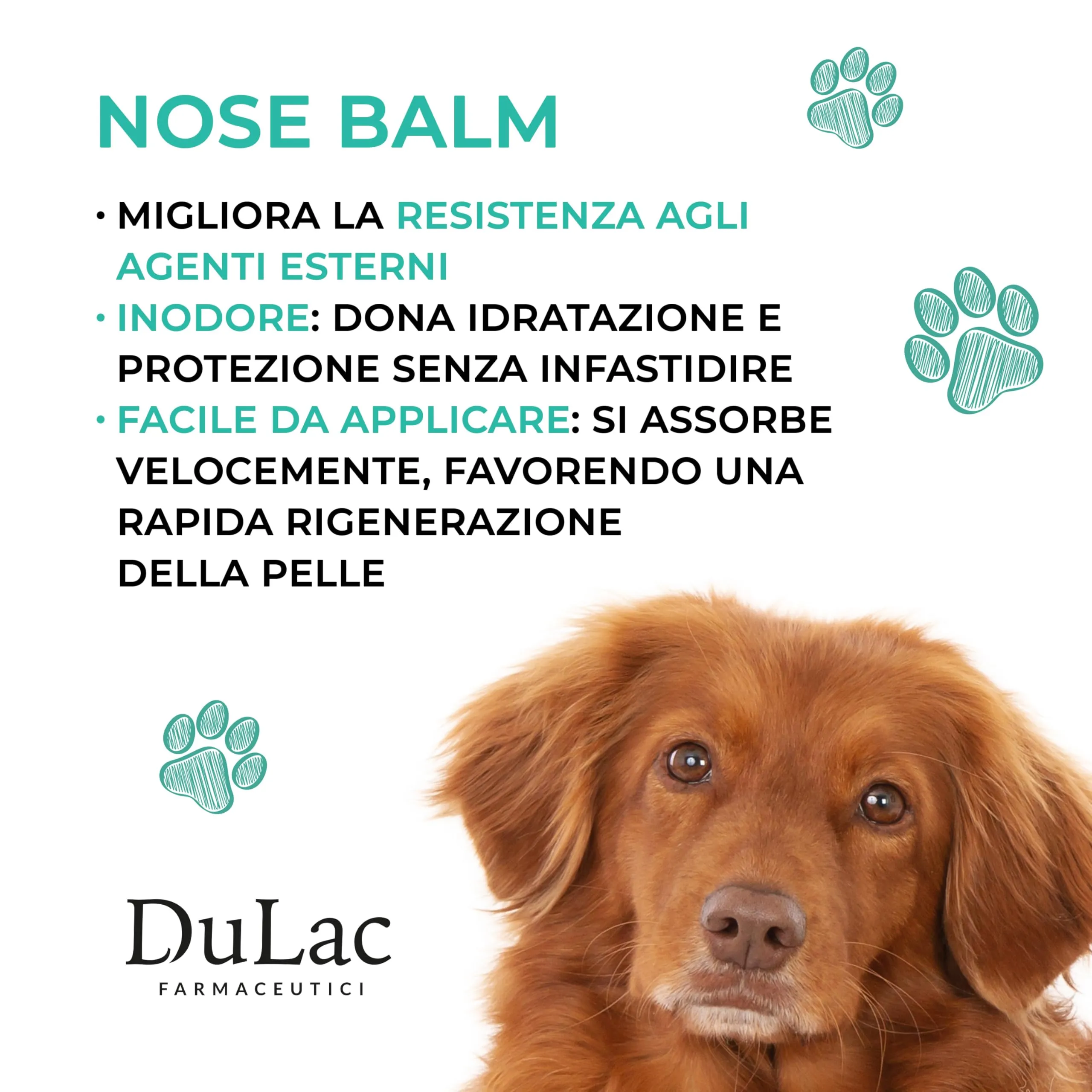 Dulac - Balsamo Naso Cane Idratante, Senza Profumo, 50 ml - immagine 3