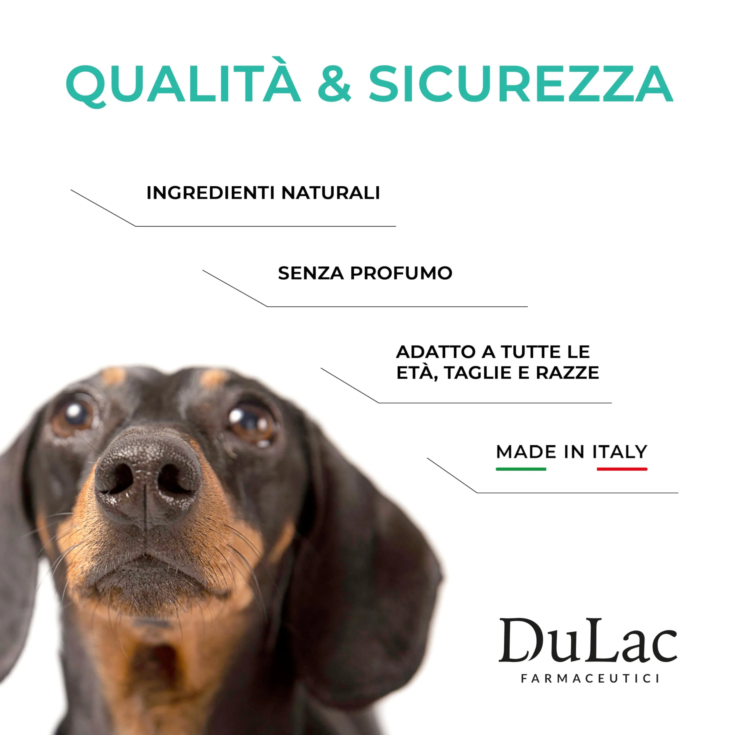 Dulac - Balsamo Naso Cane Idratante, Senza Profumo, 50 ml - immagine 5
