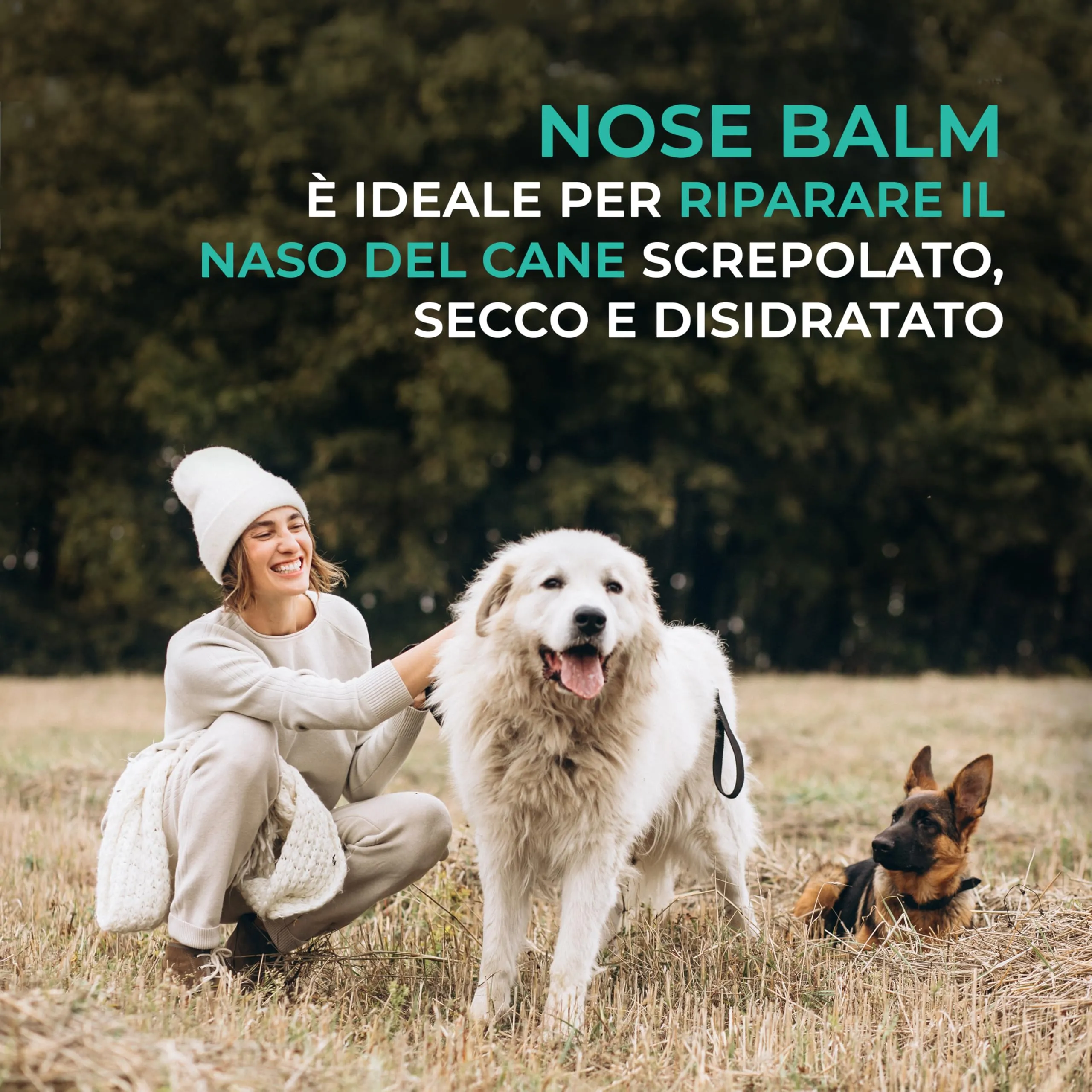 Dulac - Balsamo Naso Cane Idratante, Senza Profumo, 50 ml - immagine 6