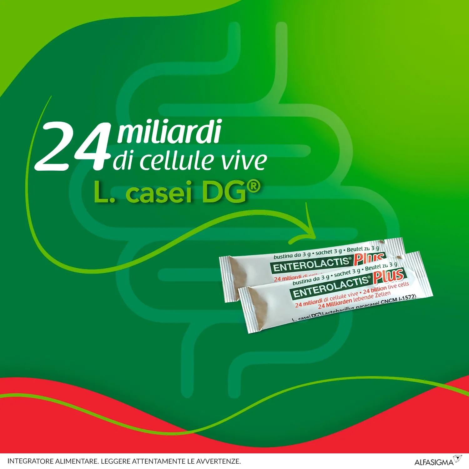 Enterolactis Plus, confezione da 14 bustine: fermenti lattici, probiotici, supporto per equilibrare la flora intestinale alterata - immagine 3