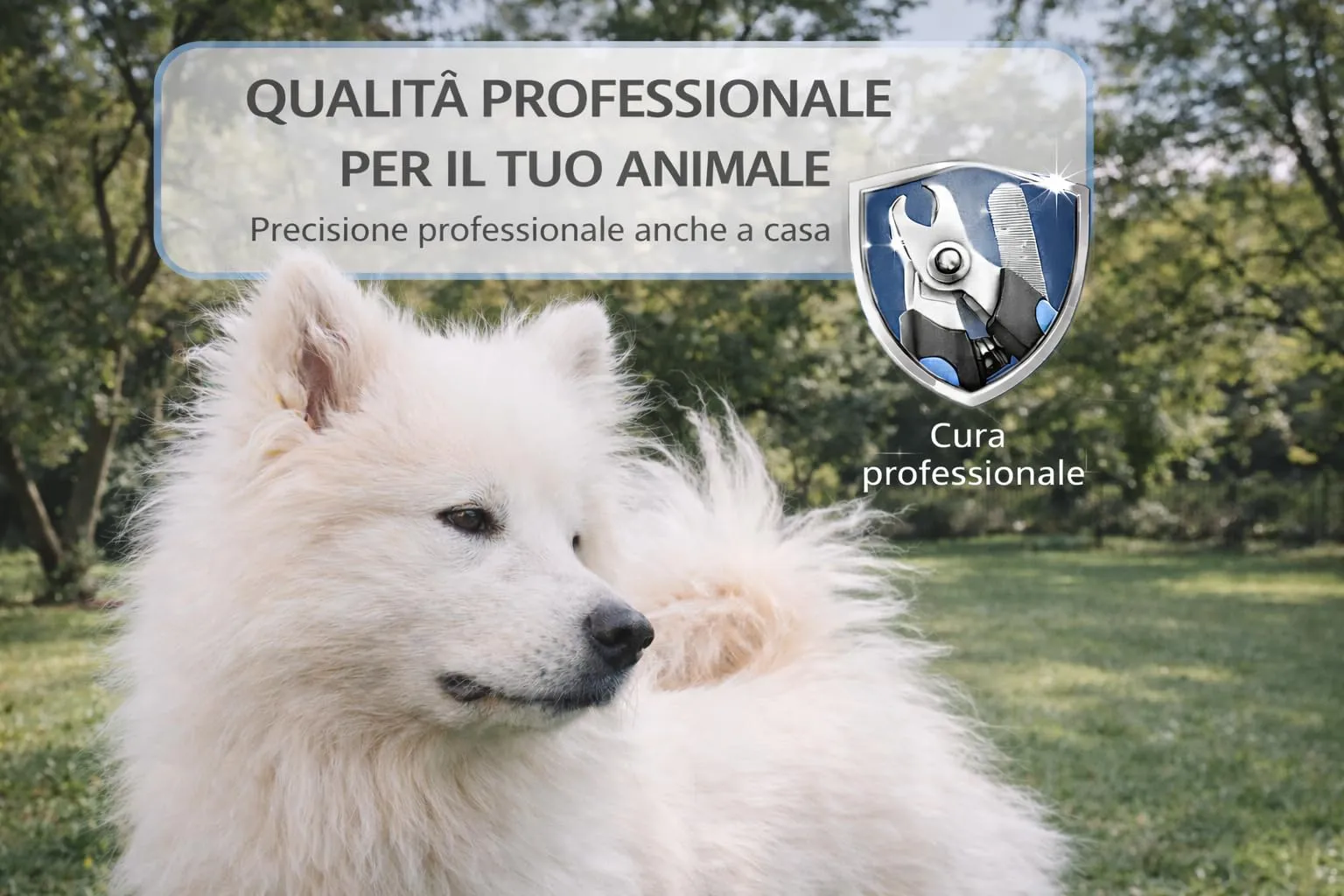 MandA® Tagliaunghie per Cane con Custodia. Tagliaunghie per Cani Medi e Piccoli, Gatti, ecc. + Lima + Custodia. Lame Affilate in Acciaio INOX e Chiusura di Sicurezza. Forbici per Tagliare le Unghie - immagine 3