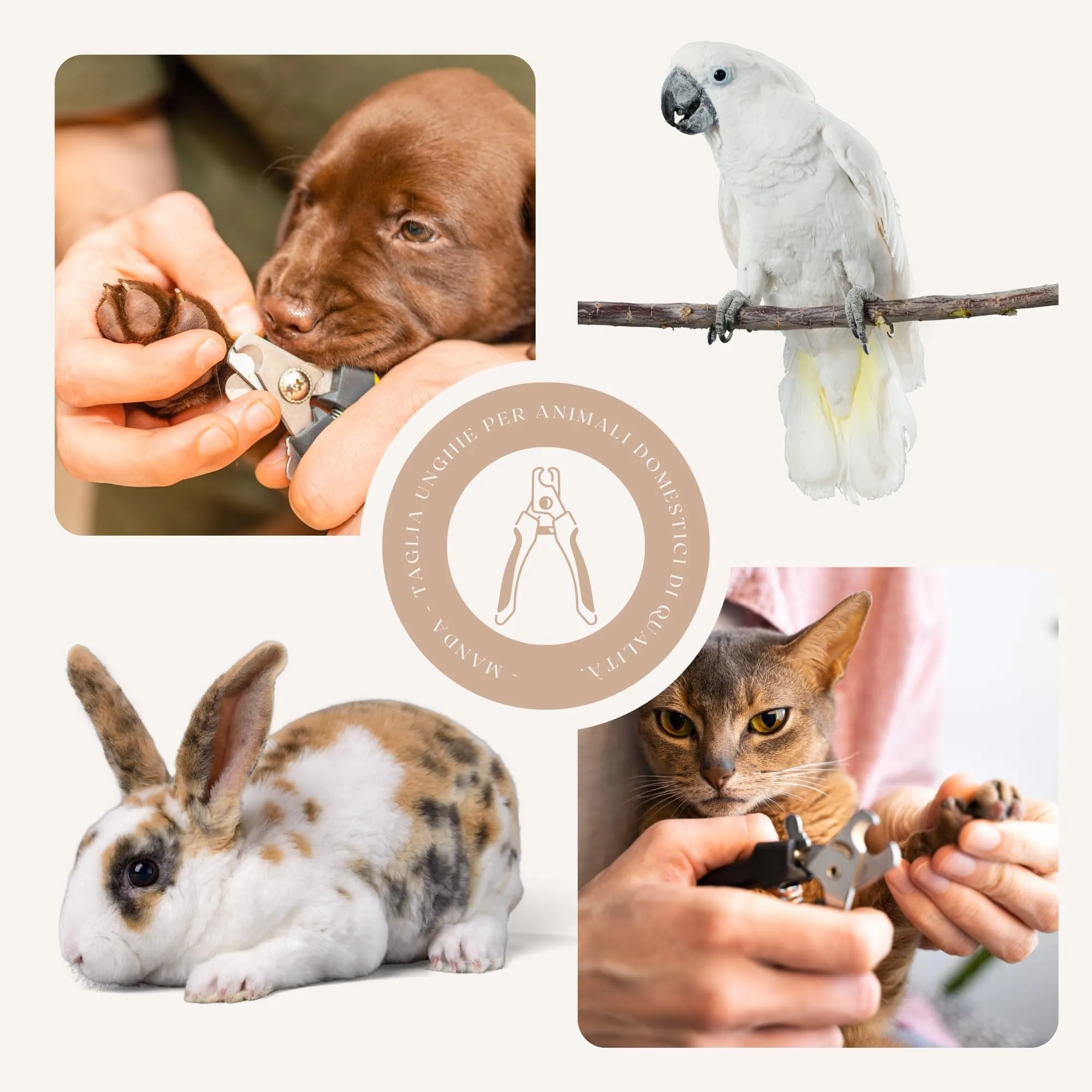 MandA® Tagliaunghie per Cane con Custodia. Tagliaunghie per Cani Medi e Piccoli, Gatti, ecc. + Lima + Custodia. Lame Affilate in Acciaio INOX e Chiusura di Sicurezza. Forbici per Tagliare le Unghie - immagine 7