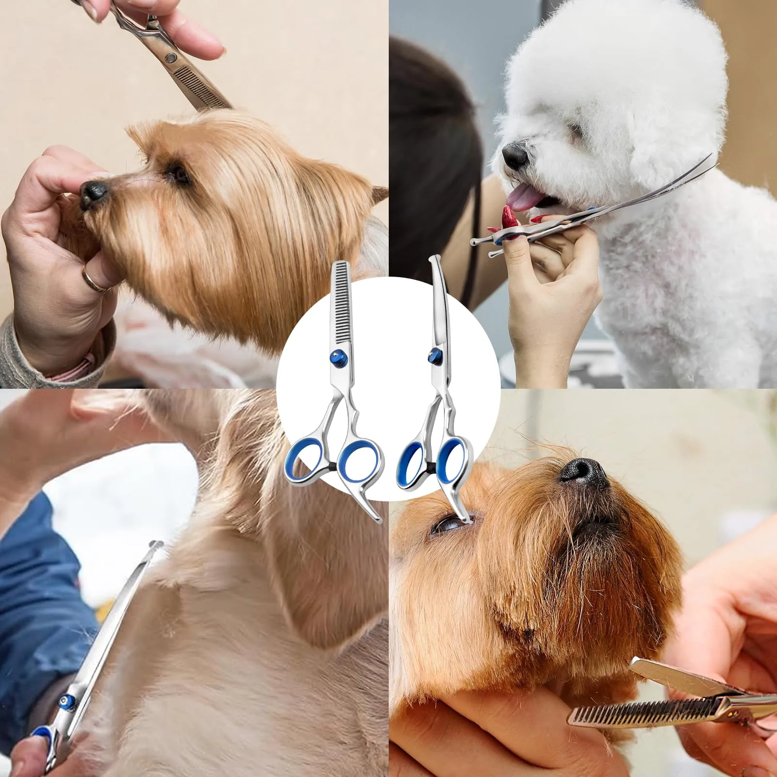 2 Pezzi Forbici da Toelettatura per Animali Domestici, Forbice Curve y Forbici per Sfoltire, Con Punta Rotonda di Sicurezza, In Acciaio Inox Forbici Professionali per La Toelettatura di Cani Gatti - immagine 7