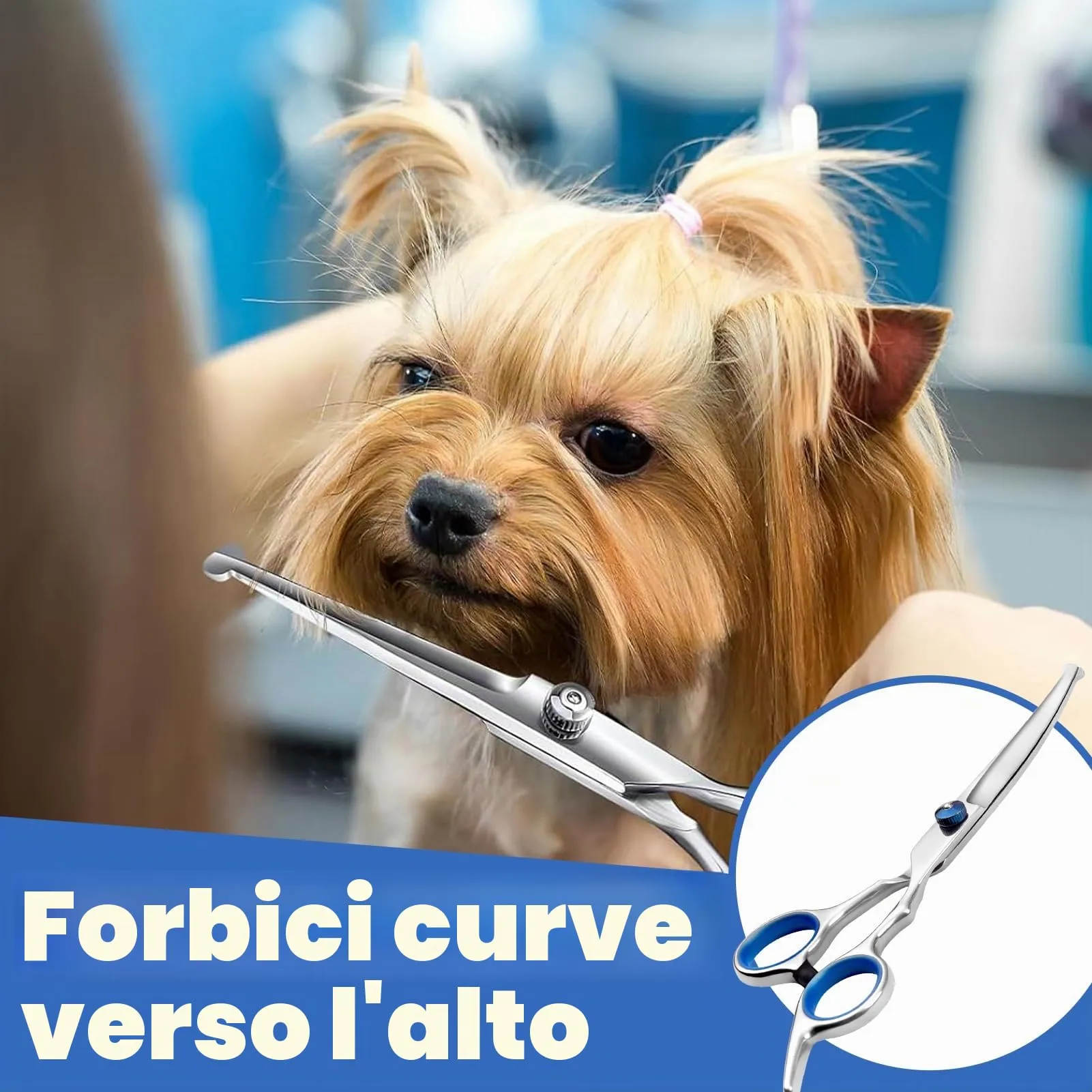 2 Pezzi Forbici da Toelettatura per Animali Domestici, Forbice Curve y Forbici per Sfoltire, Con Punta Rotonda di Sicurezza, In Acciaio Inox Forbici Professionali per La Toelettatura di Cani Gatti - immagine 8