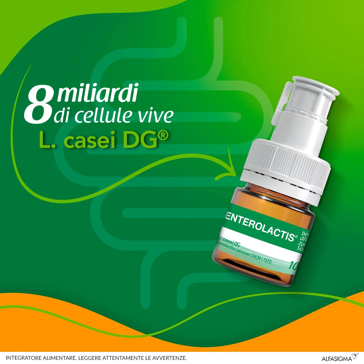 Enterolactis Bevibile, confezione da 36 flaconcini 10 ml, gusto fragola: fermenti lattici, probiotici, supporto all'equilibrio della flora intestinale, anche in gravidanza e allattamento - immagine 3