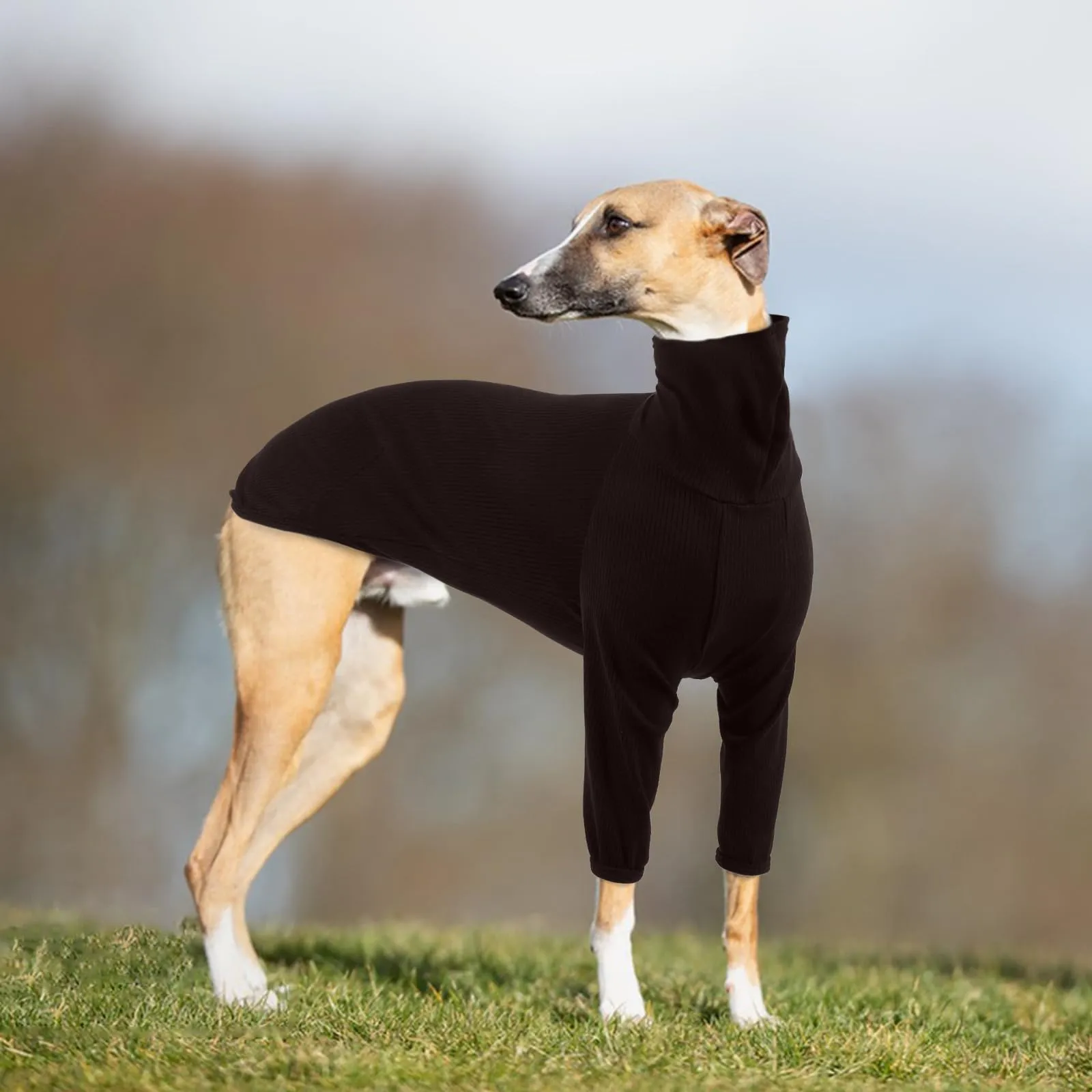 Cappottino Piccolo Levriero Italiano, Felpa Levriero Cappottino Whippet Cappotto Levriero Abbigliamento Piccoli Levrieri Italiano(Marrone, XS) - immagine 6