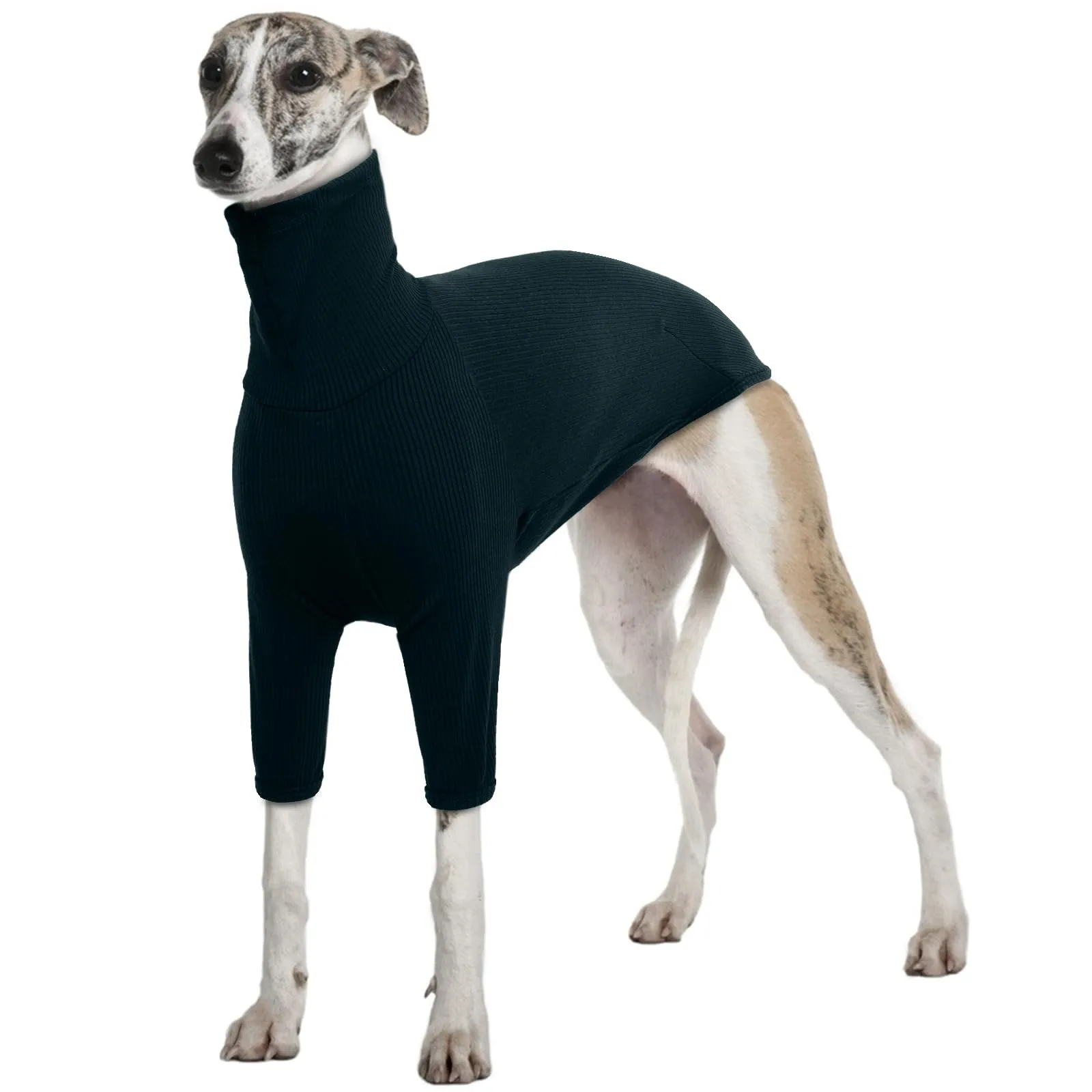 Cappotto Levieri, Maglione Greyhound Pigiama Levrieri Vestito per Levrieri Cappotto Salukis Pullover Maglioncino Maglione Cane Taglia Grande (Verde Scuro, 3XL) - immagine 1