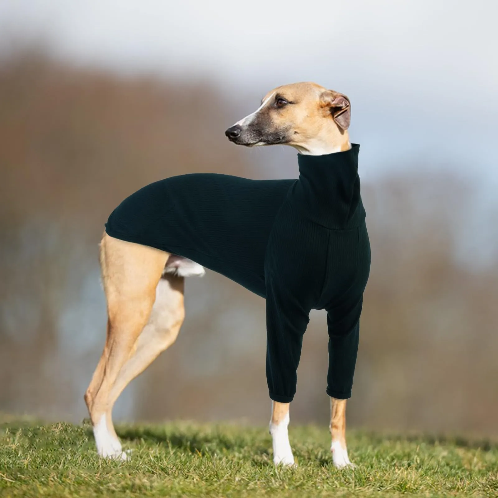 Cappotto Levieri, Maglione Greyhound Pigiama Levrieri Vestito per Levrieri Cappotto Salukis Pullover Maglioncino Maglione Cane Taglia Grande (Verde Scuro, 3XL) - immagine 6