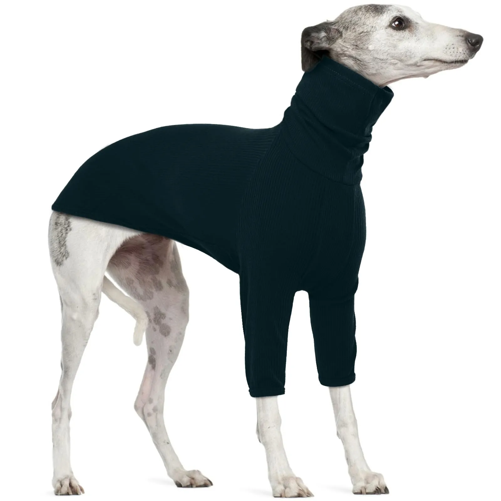 Maglione, Pigiama, Vestito, Giacca levriere Calda Cappottino per Levrieri Taglia Media (Verde Scuro, L) - immagine 1