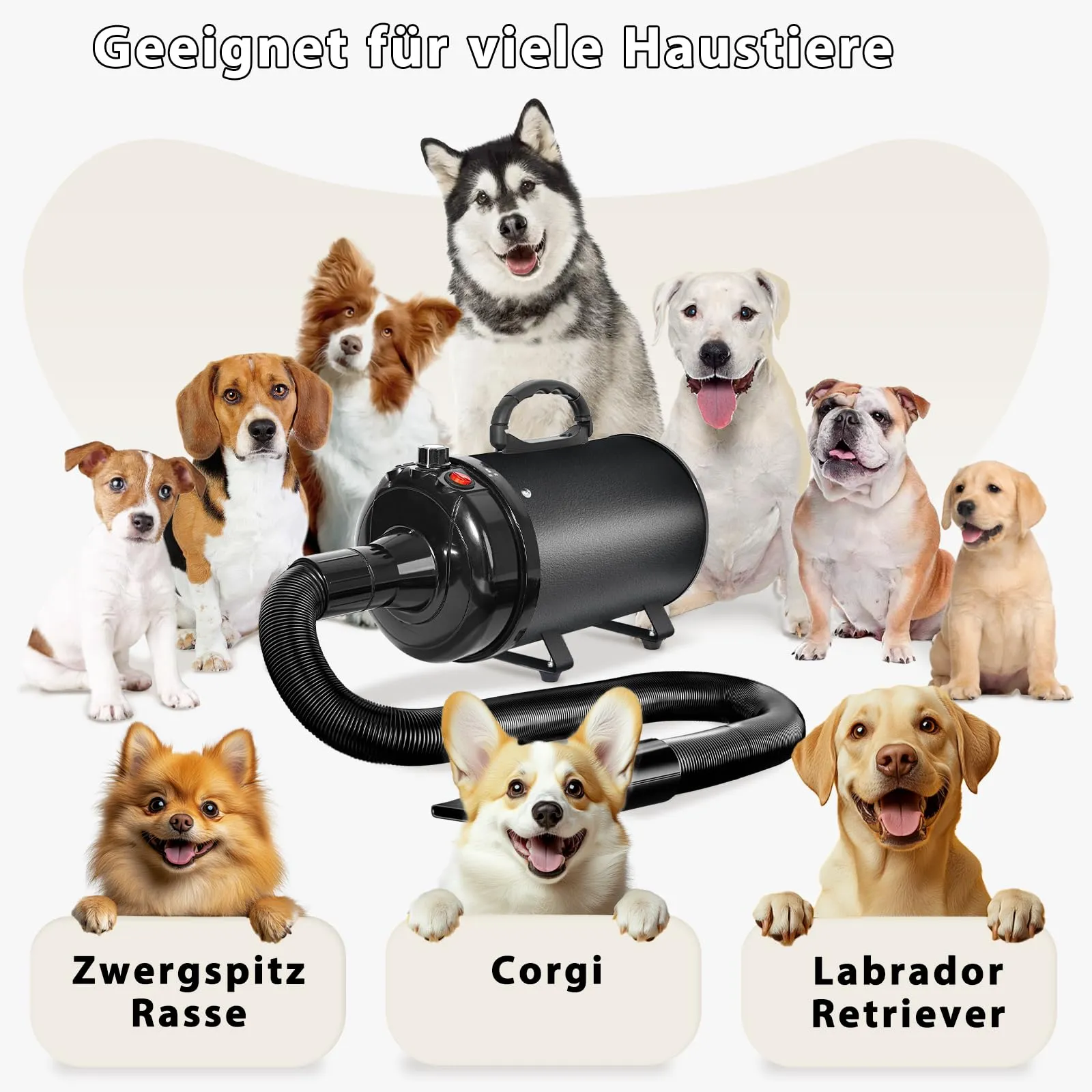 Trigrand Soffiatore per Cani 3000W Blower Molto Silenzioso velocità Regolabile, Ventilatore per la Cura del Cane con 4 Diversi ugelli e Tubo Elastico - immagine 7