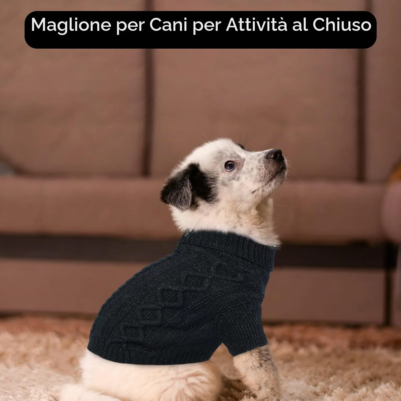 Hjumarayan Maglione Cane -Maglioncino Cane Taglia Piccola Semplice & Elegante Maglioncini Caldo per Cani con Foro per Pettorina, Maglia Termica per Chihuahua Jack Russell (Nero S) - immagine 6