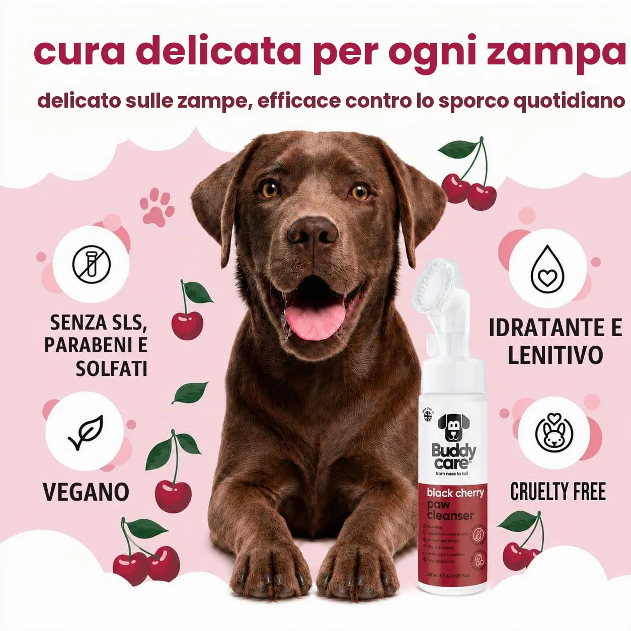 Buddycare Detergente per zampe di cane al profumo di ciliegia nera, 200 ml, senza risciacquo, detergente per zampe senza acqua per cani, soluzione morbida per zampe fangose, adatto per tutte le razze - immagine 3
