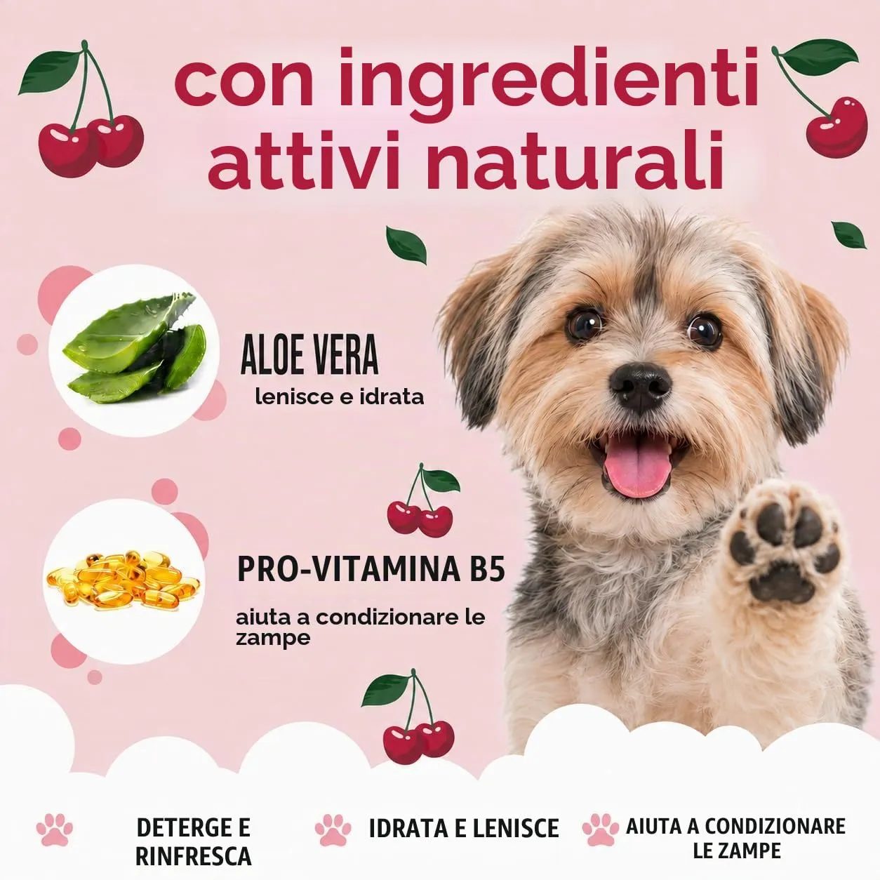 Buddycare Detergente per zampe di cane al profumo di ciliegia nera, 200 ml, senza risciacquo, detergente per zampe senza acqua per cani, soluzione morbida per zampe fangose, adatto per tutte le razze - immagine 4