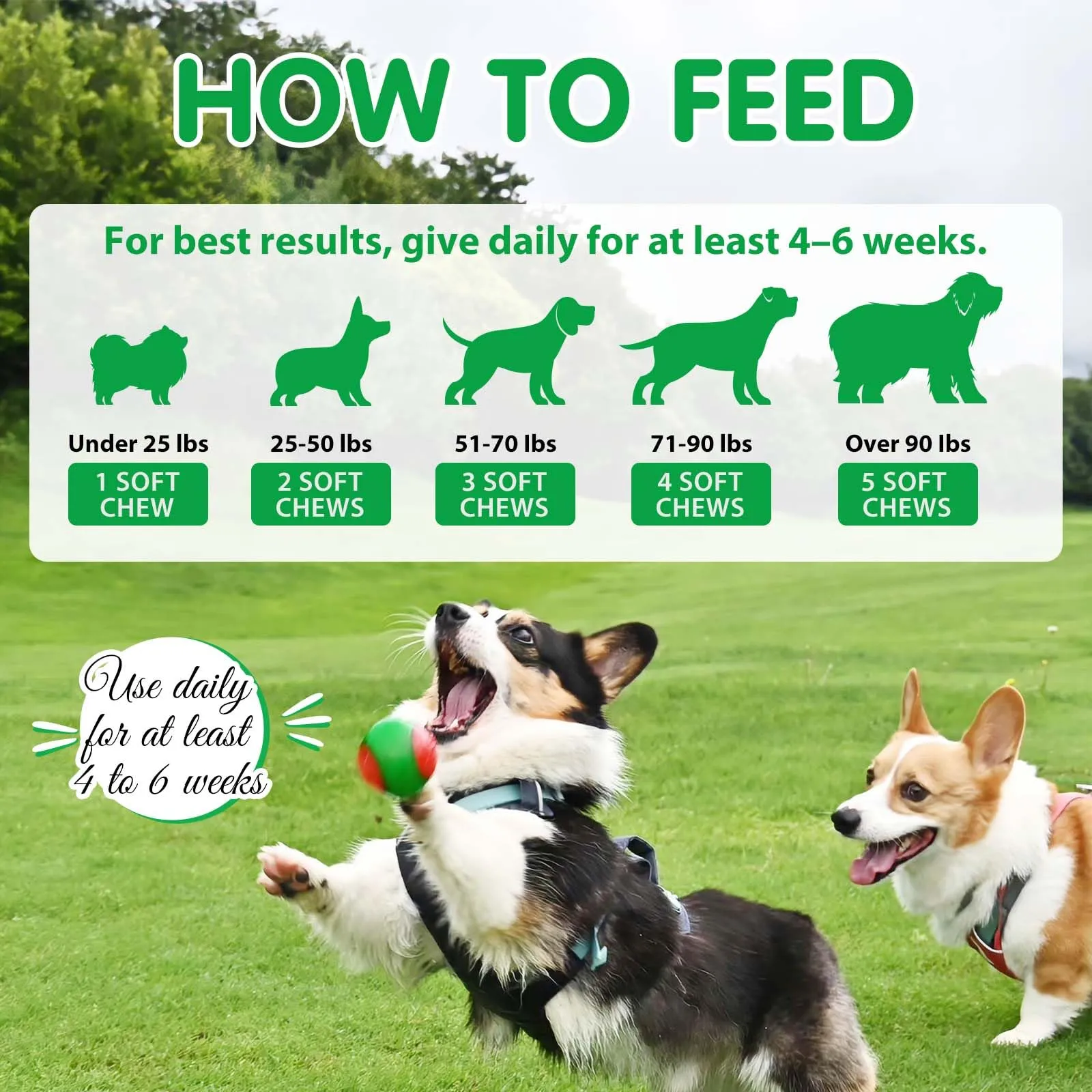 Probiotici per Cani 30 Chews Masticabili, Integratore Digestivo con Enzimi e Prebiotici, Supporto per Flora Intestinale e Digestione, Difese Immunitarie e Pelo, Gusto Anatra - immagine 8