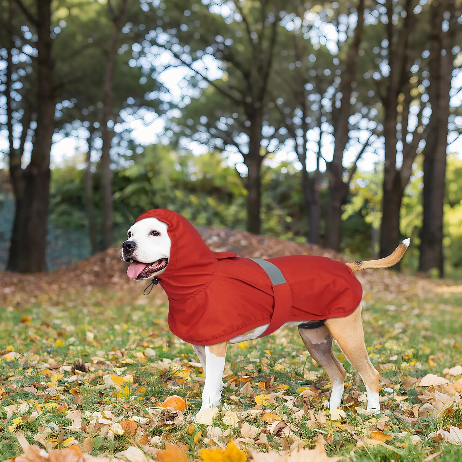 Lelepet Impermeabile per cani, giacca impermeabile per passeggiate - immagine 8