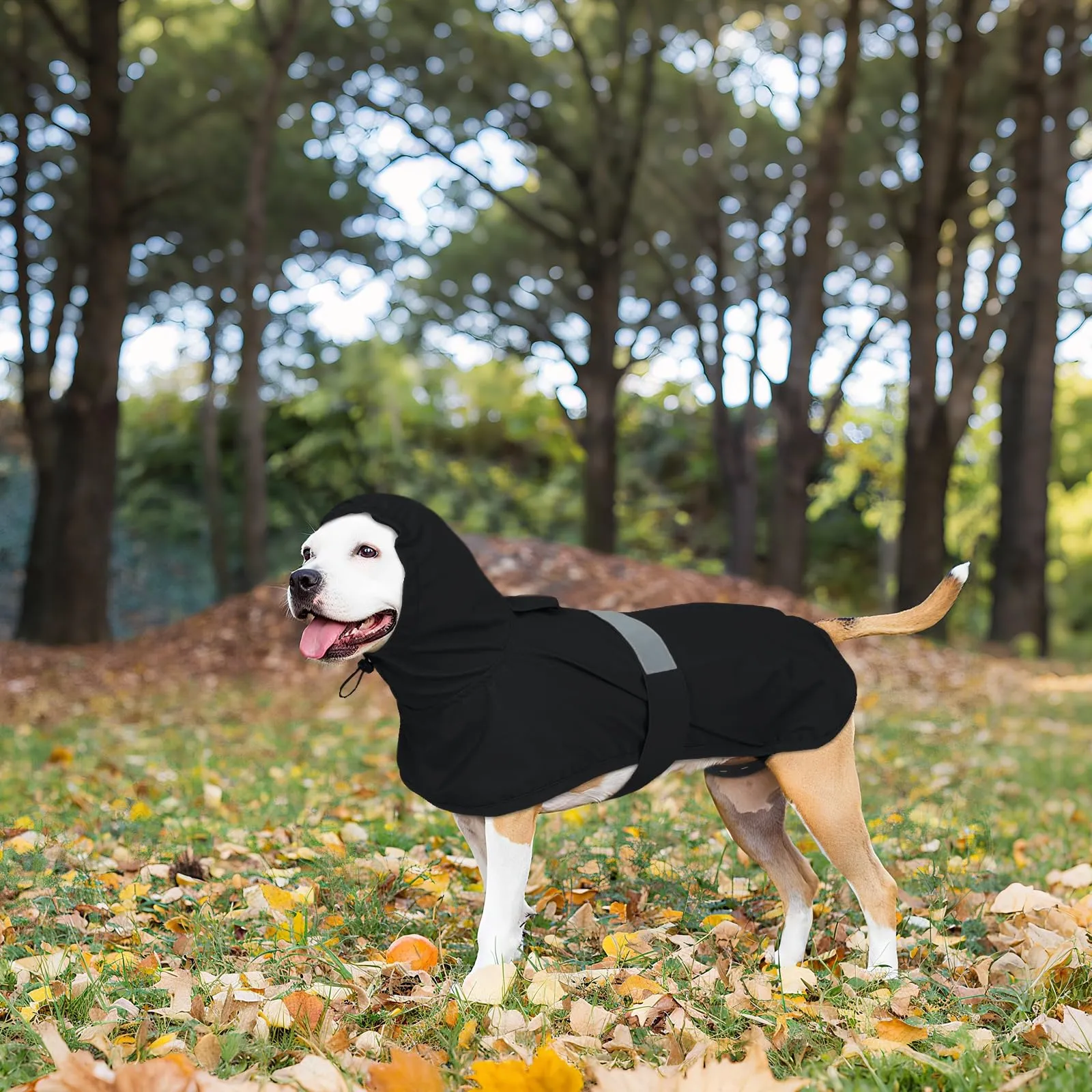 Lelepet Impermeabile per cani, giacca impermeabile per passeggiate - immagine 8