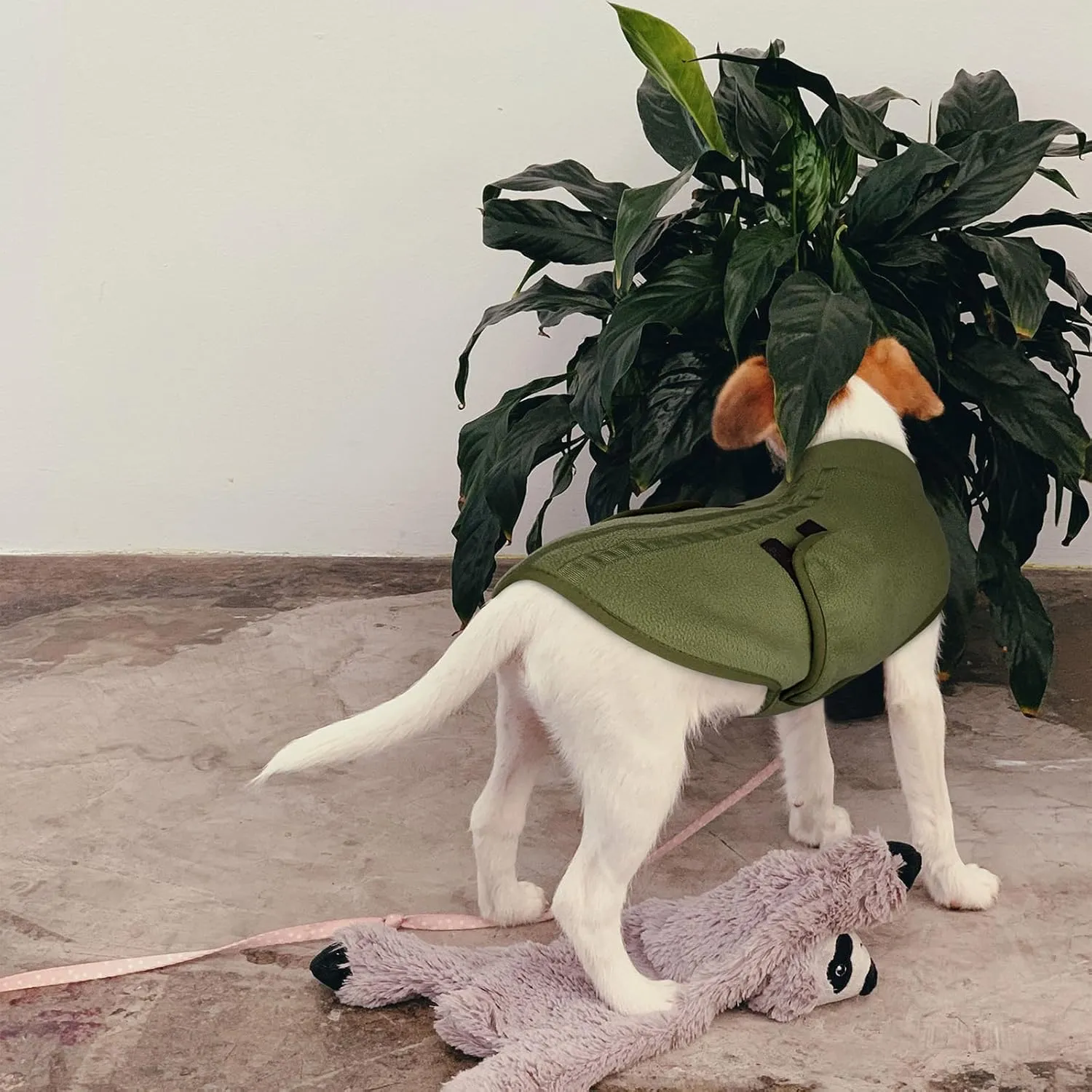 Queenmore Maglione Cane In Pile, Giacca Con Cappuccio Per Cani Piccoli - immagine 7