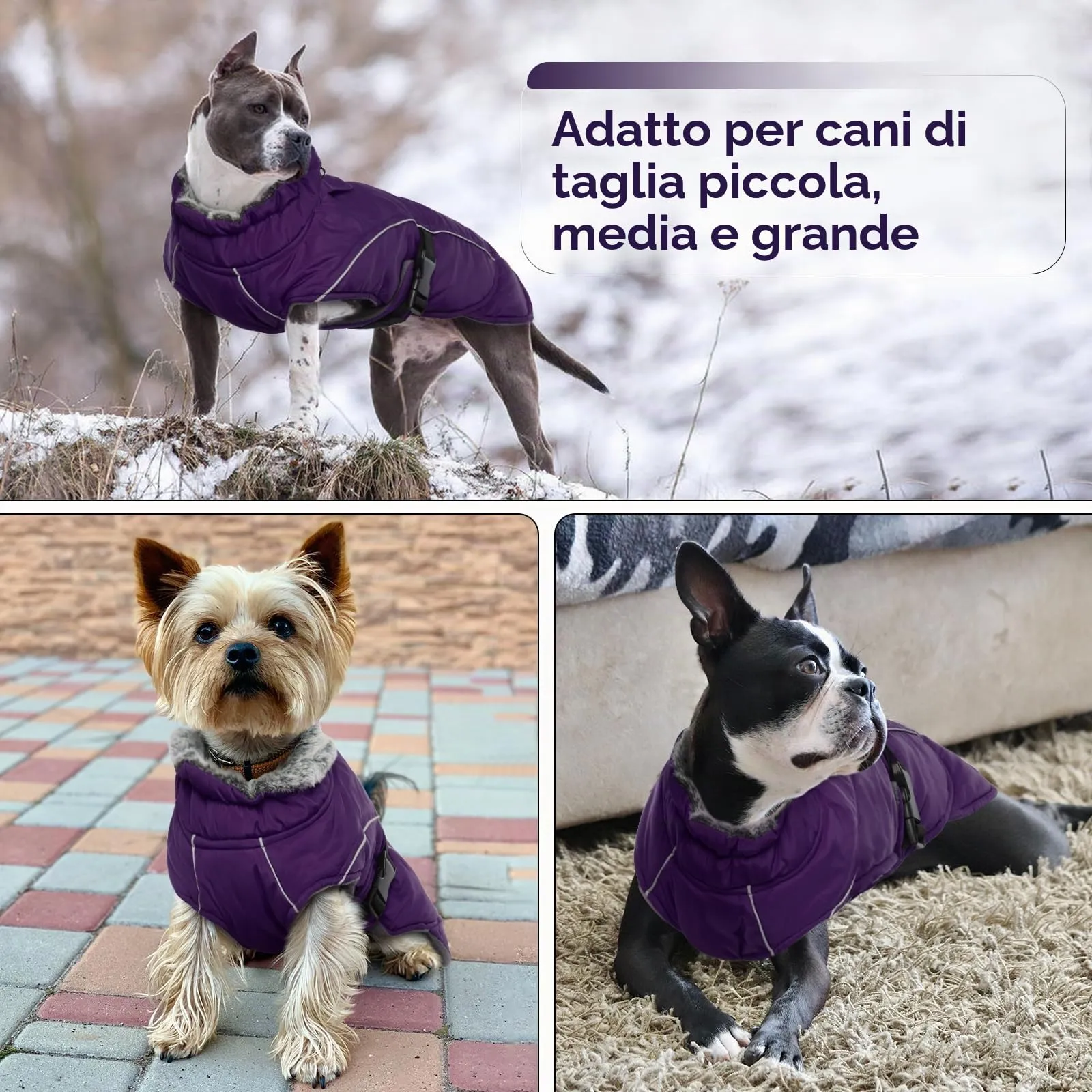 Giubbotto Cane Taglia Grande, Cappotto XXXL per Cani Giacca Calda per Cani Cappottino Impermeabile Cane Taglia Grande(Viola, 3XL) - immagine 6