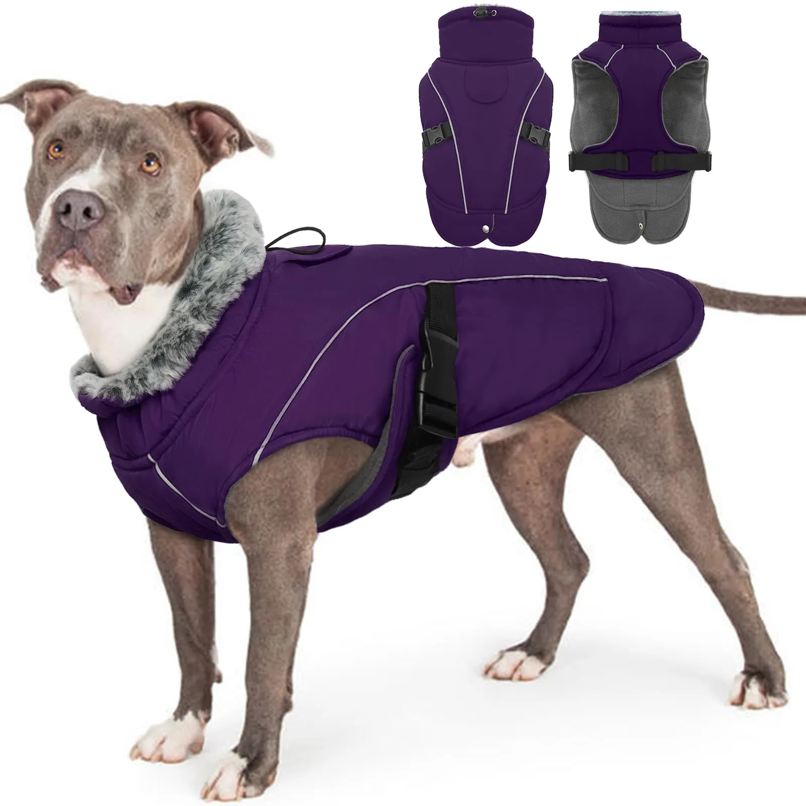 Cappotto Invernale Cani Grandi, Giubbotto Invernale Cani Felpa Cappotto XXLNeve Cani Giacca Impermeabile per Cani Vestito Gilet Antivento Cani(Viola, 2XL) - immagine 1