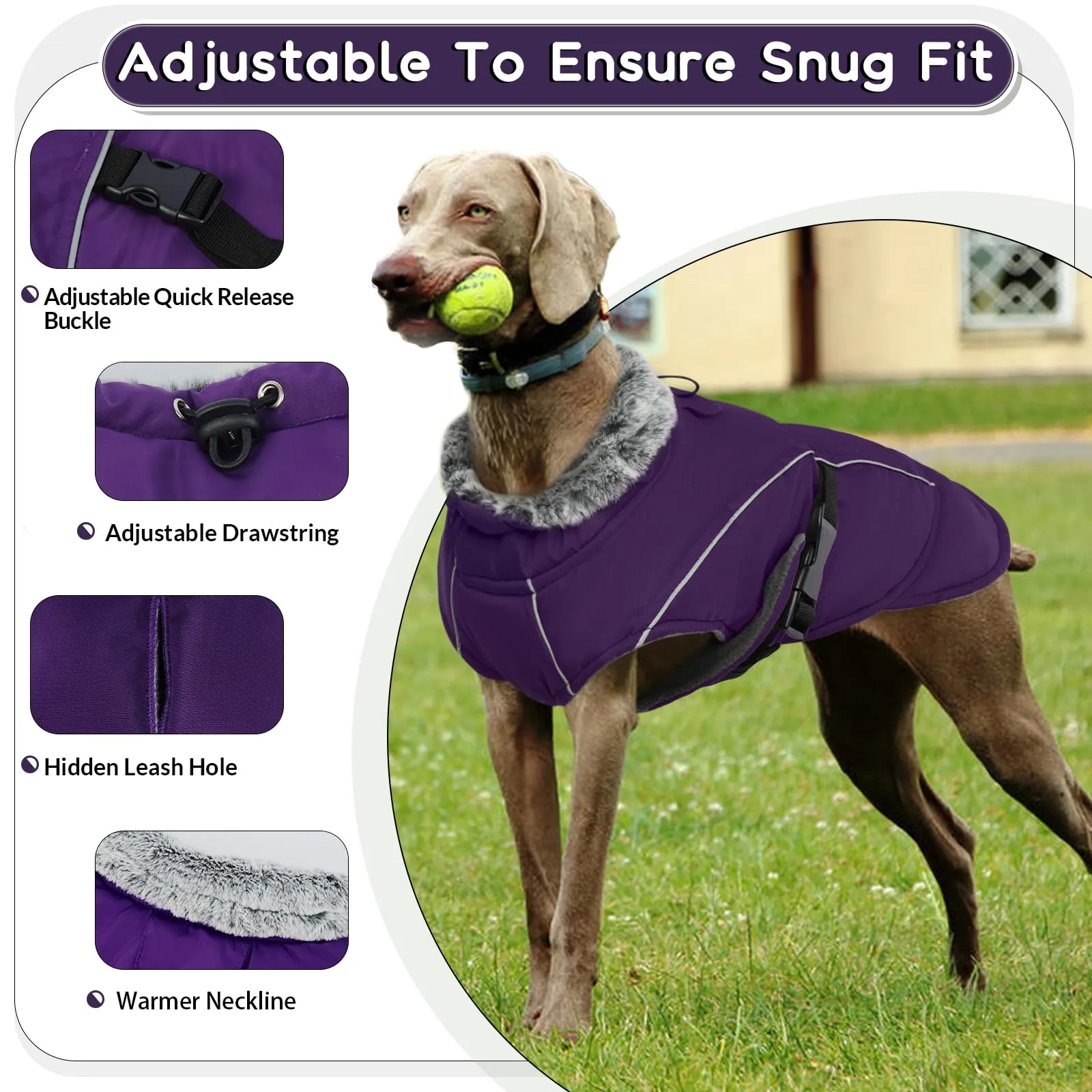 Giacca Invernale per Cani, Giubbini Cani Invernali Cappotto Pile Caldo Cani Antivento Giubbotto Cani Taglia Media Cappottino Impermeabile per Cani Taglia Media(Viola, M) - immagine 3