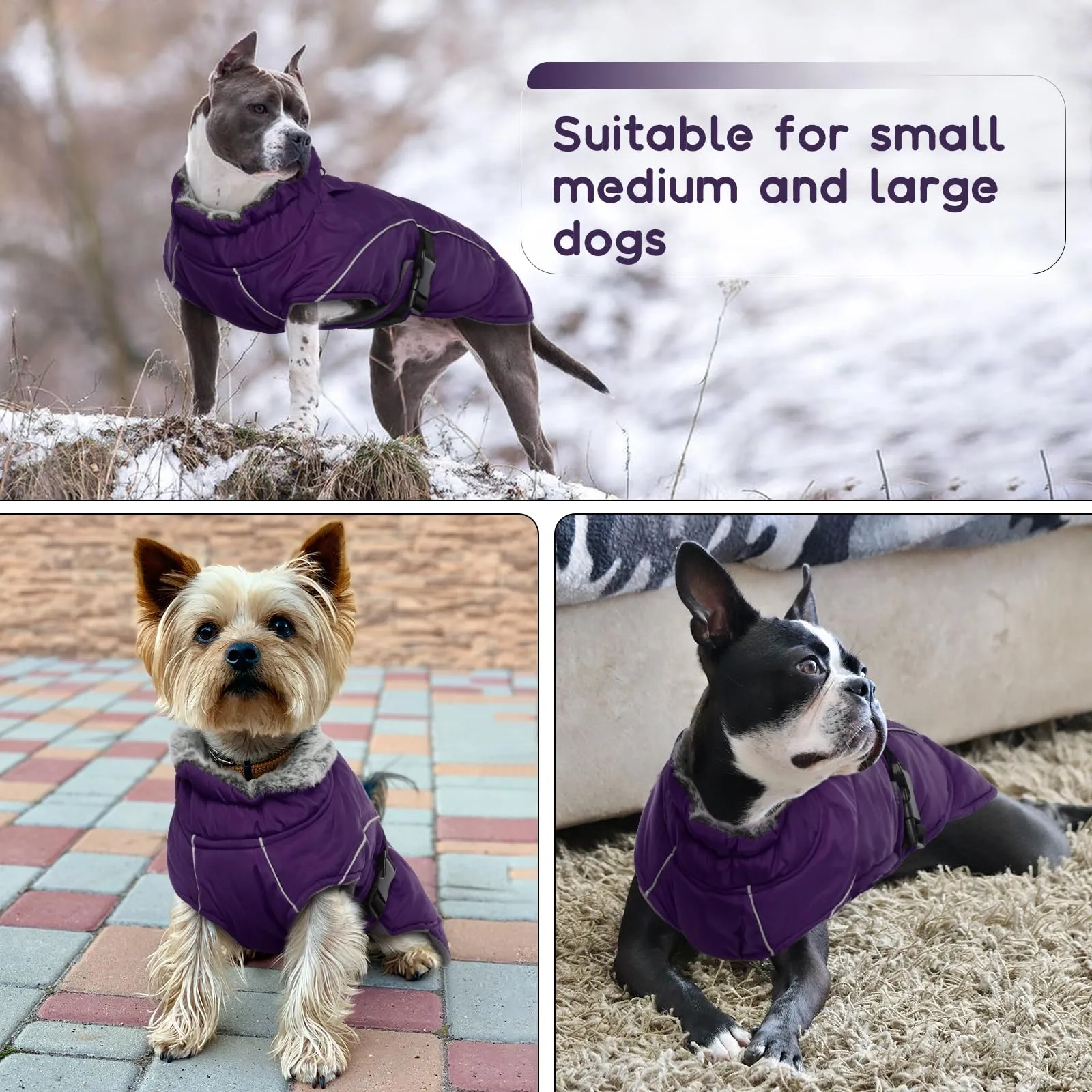 Giacca Invernale per Cani, Giubbini Cani Invernali Cappotto Pile Caldo Cani Antivento Giubbotto Cani Taglia Media Cappottino Impermeabile per Cani Taglia Media(Viola, M) - immagine 6
