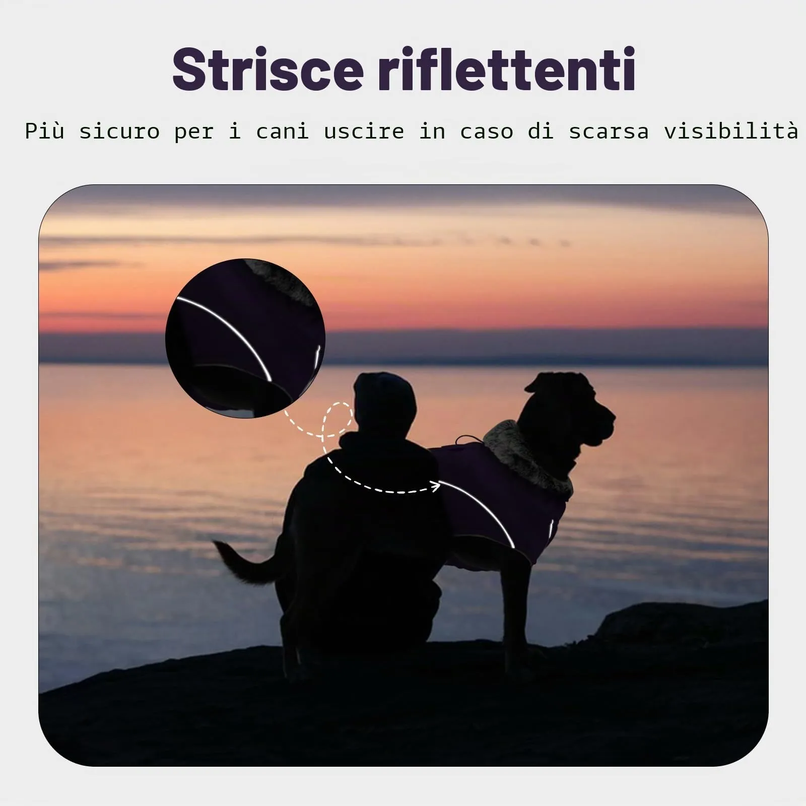 Cappotto Cani Impermeabili, Vestito Invernale per Cani Giubbino Cani Cappottino XL Pile Caldo e Confortevole con Riflettenti per Cani di Taglia Media Grande(Viola, XL) - immagine 5