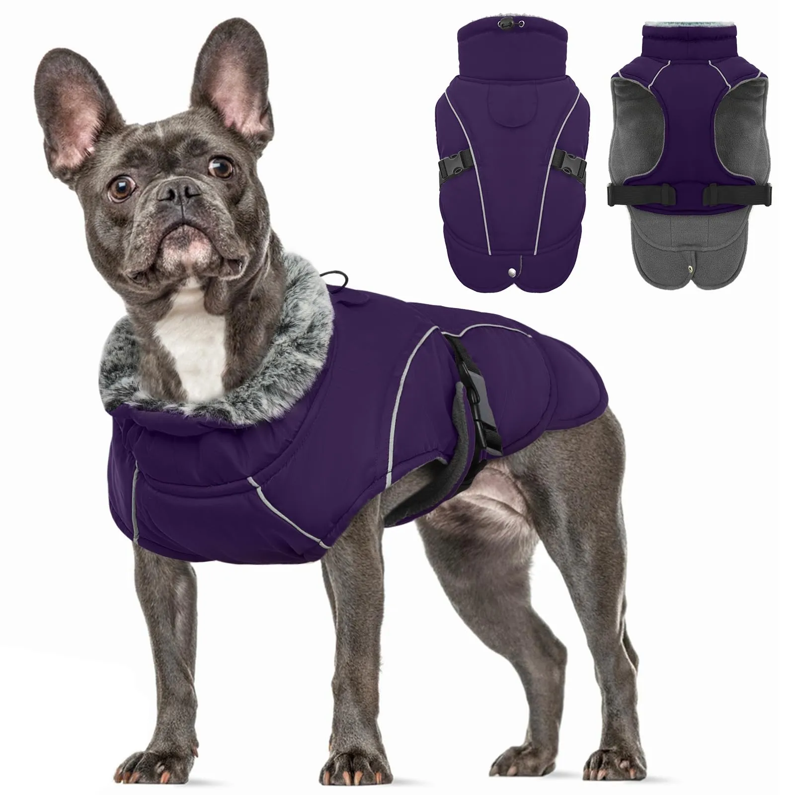 Giacca Impermeabile Cani, Giubbotto Antivento Calda Cuccioli Riflettente Cappottino con Fodera in Pile Cani Vestito Invernale Gilet Riflettente per Cani(Viola, S) - immagine 1