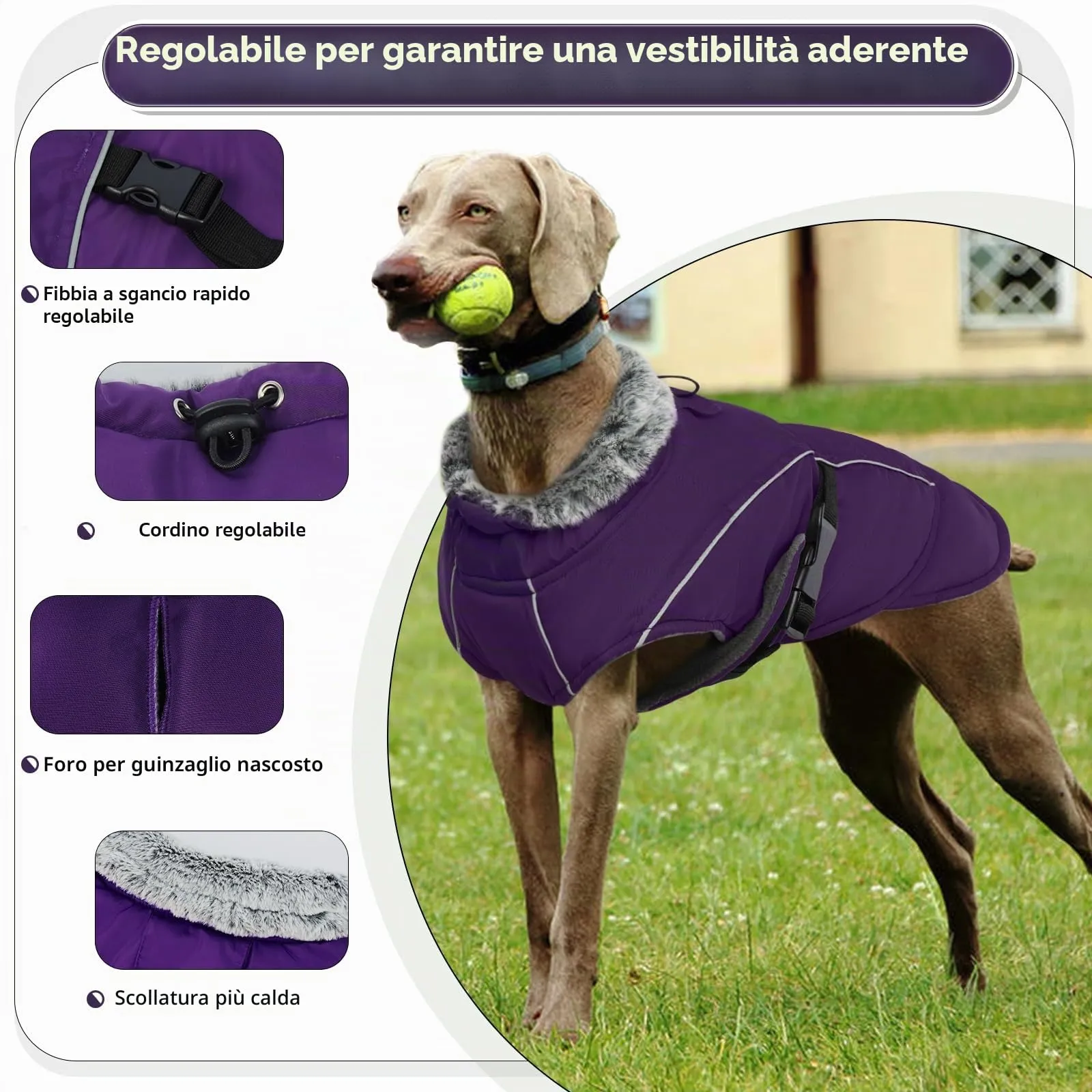 Giacca Impermeabile Cani, Giubbotto Antivento Calda Cuccioli Riflettente Cappottino con Fodera in Pile Cani Vestito Invernale Gilet Riflettente per Cani(Viola, S) - immagine 3