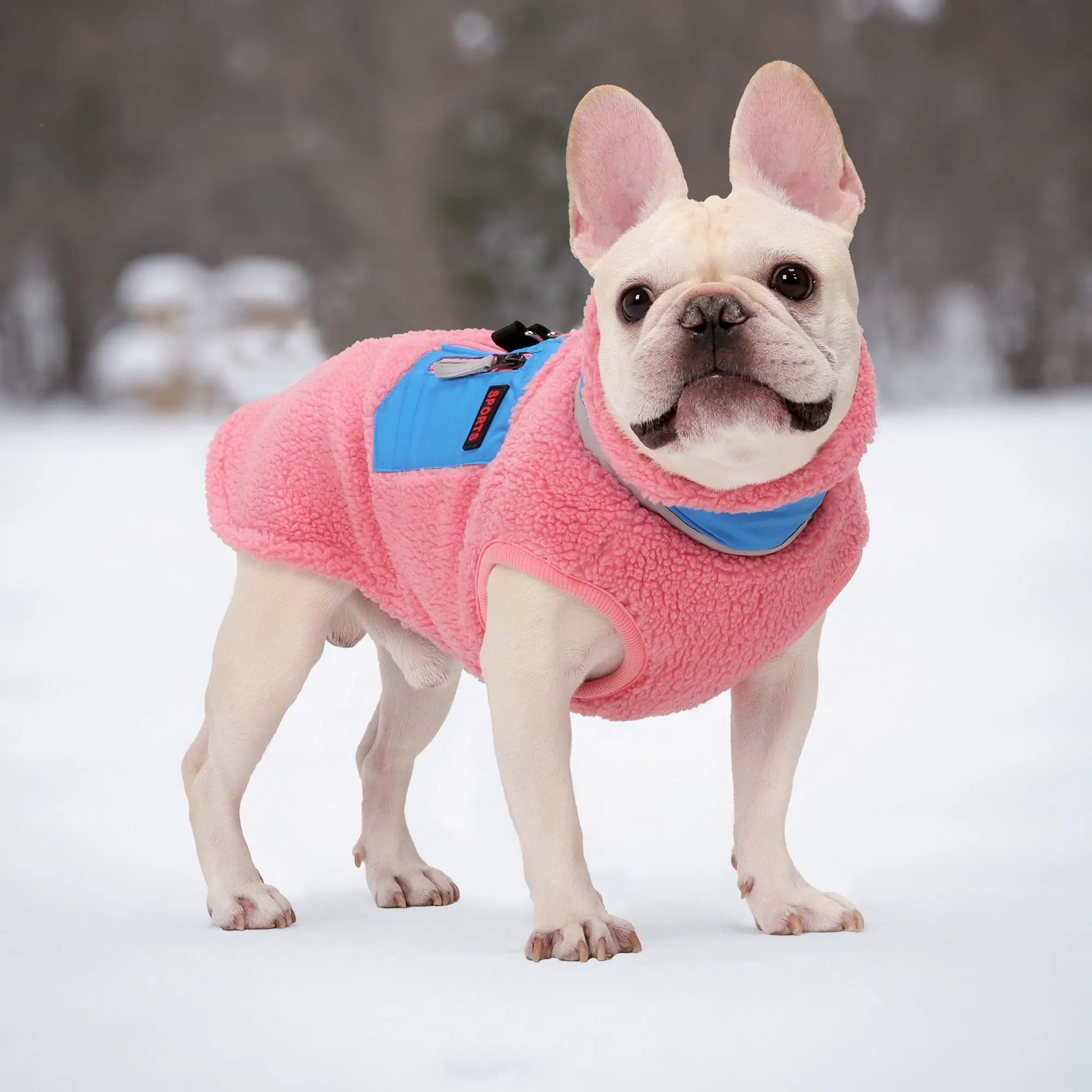 FEimaX Cappotto per Cani Invernale Giacca in Pile Calda con Anello a D, Gilet Cane Antivento Cucciolo Vestiti Caldo per Cani di Piccola e Media Taglia - immagine 5