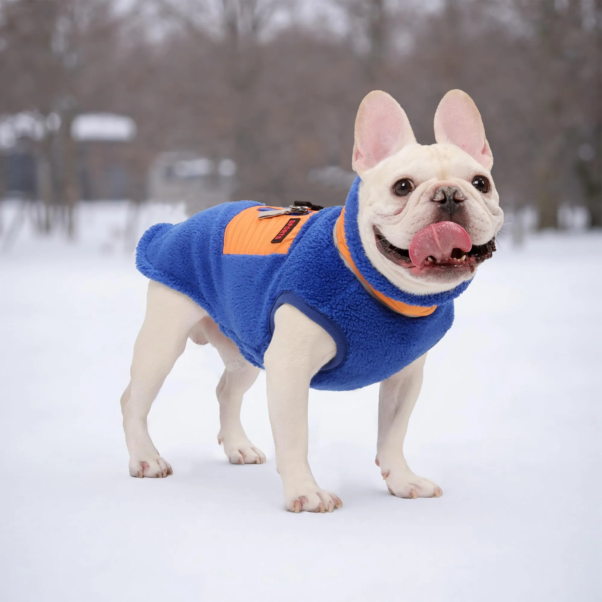 FEimaX Cappotto per Cani Invernale Giacca in Pile Calda con Anello a D, Gilet Cane Antivento Cucciolo Vestiti Caldo per Cani di Piccola e Media Taglia - immagine 5